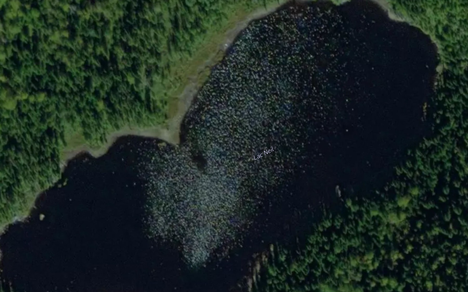 Satellite map of the Lac Neil