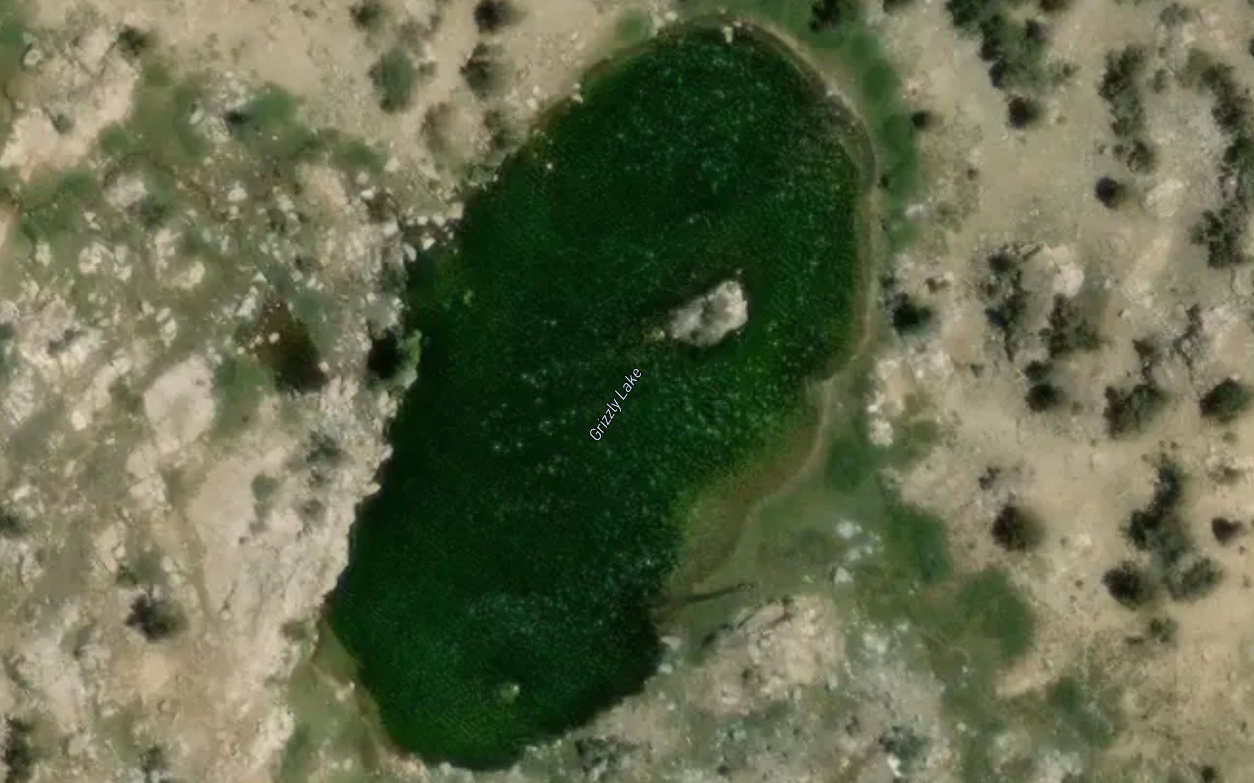 Grizzly Lake