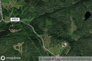 Lintjonn