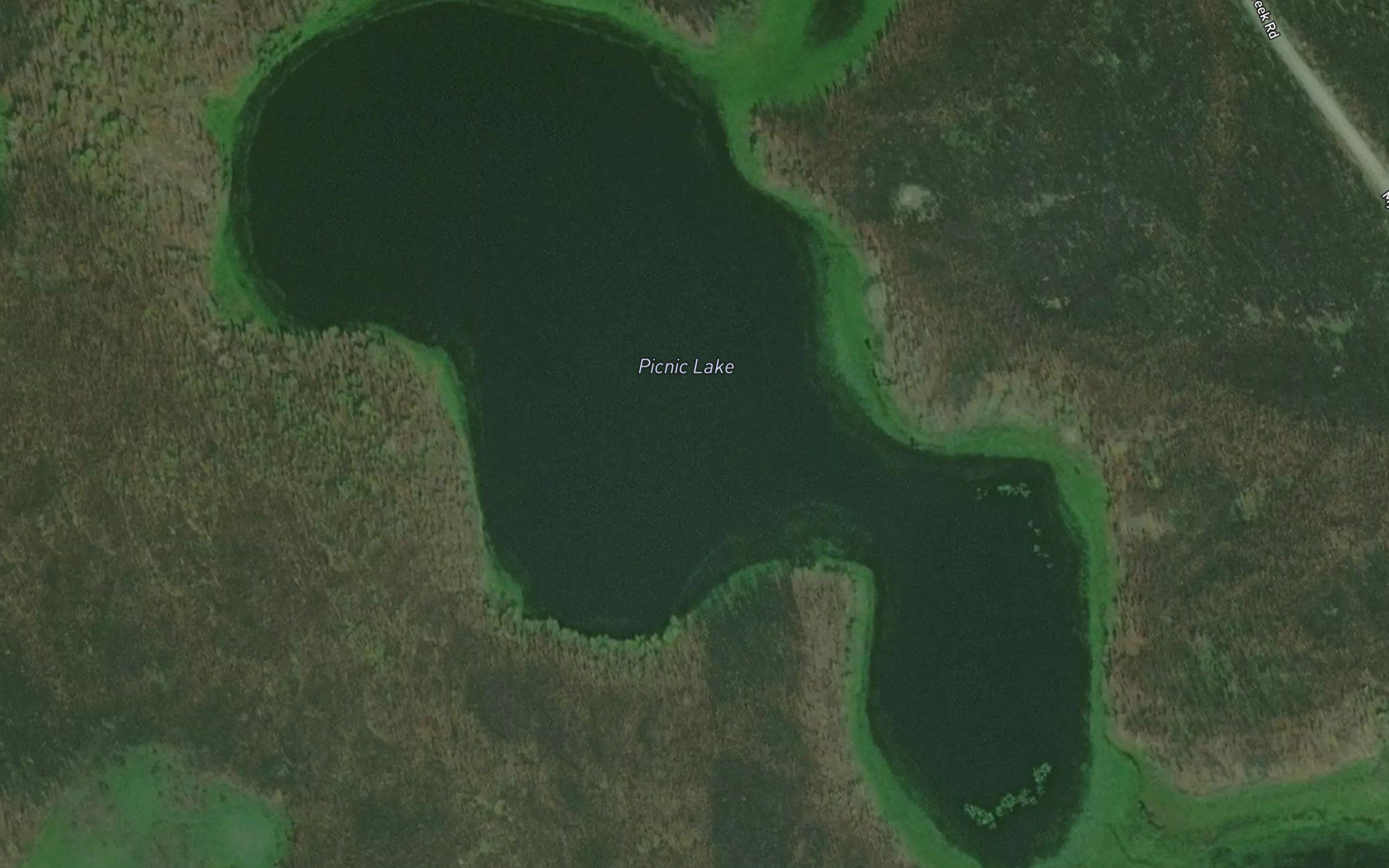 Picnic Lake