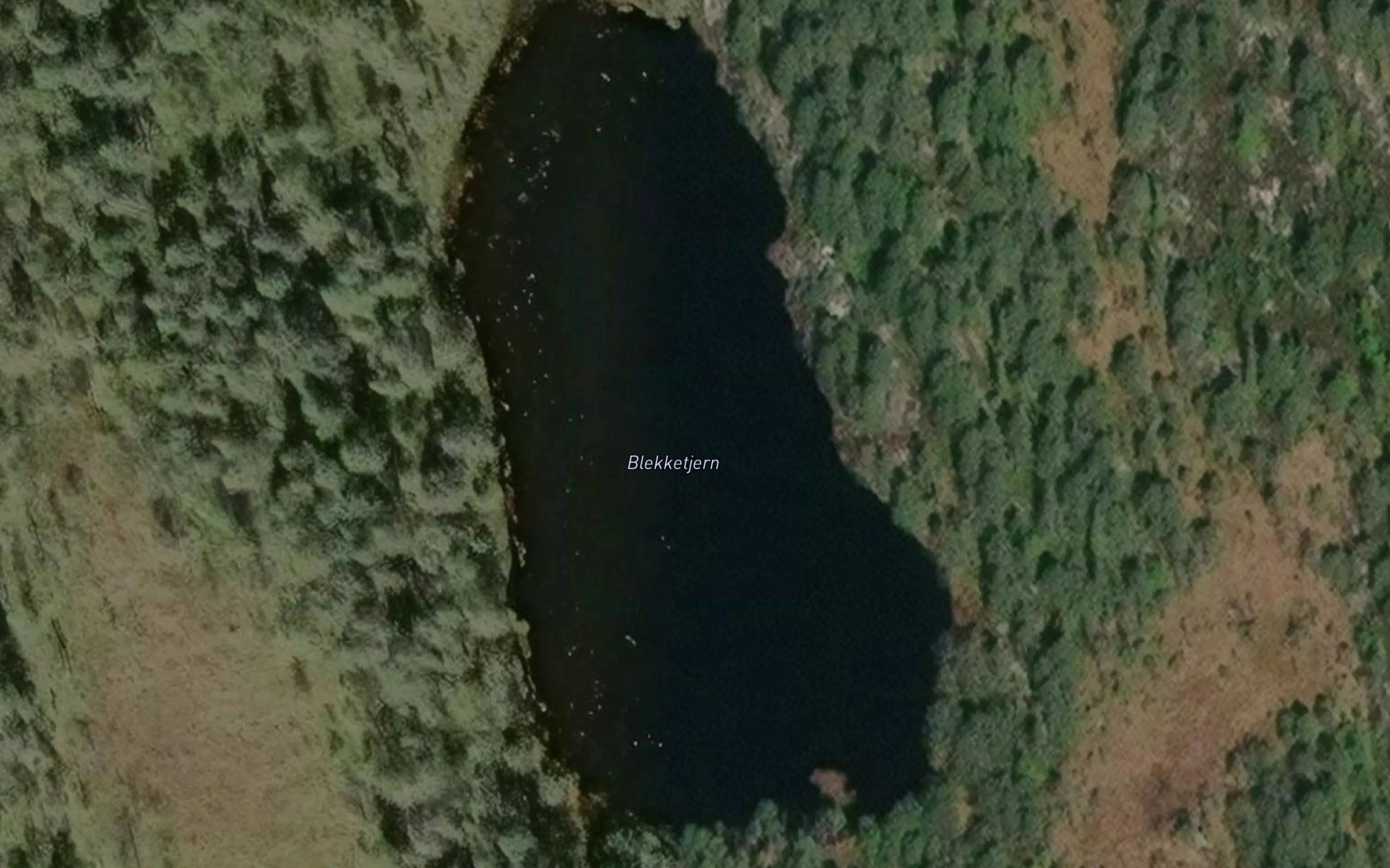 Blekketjern