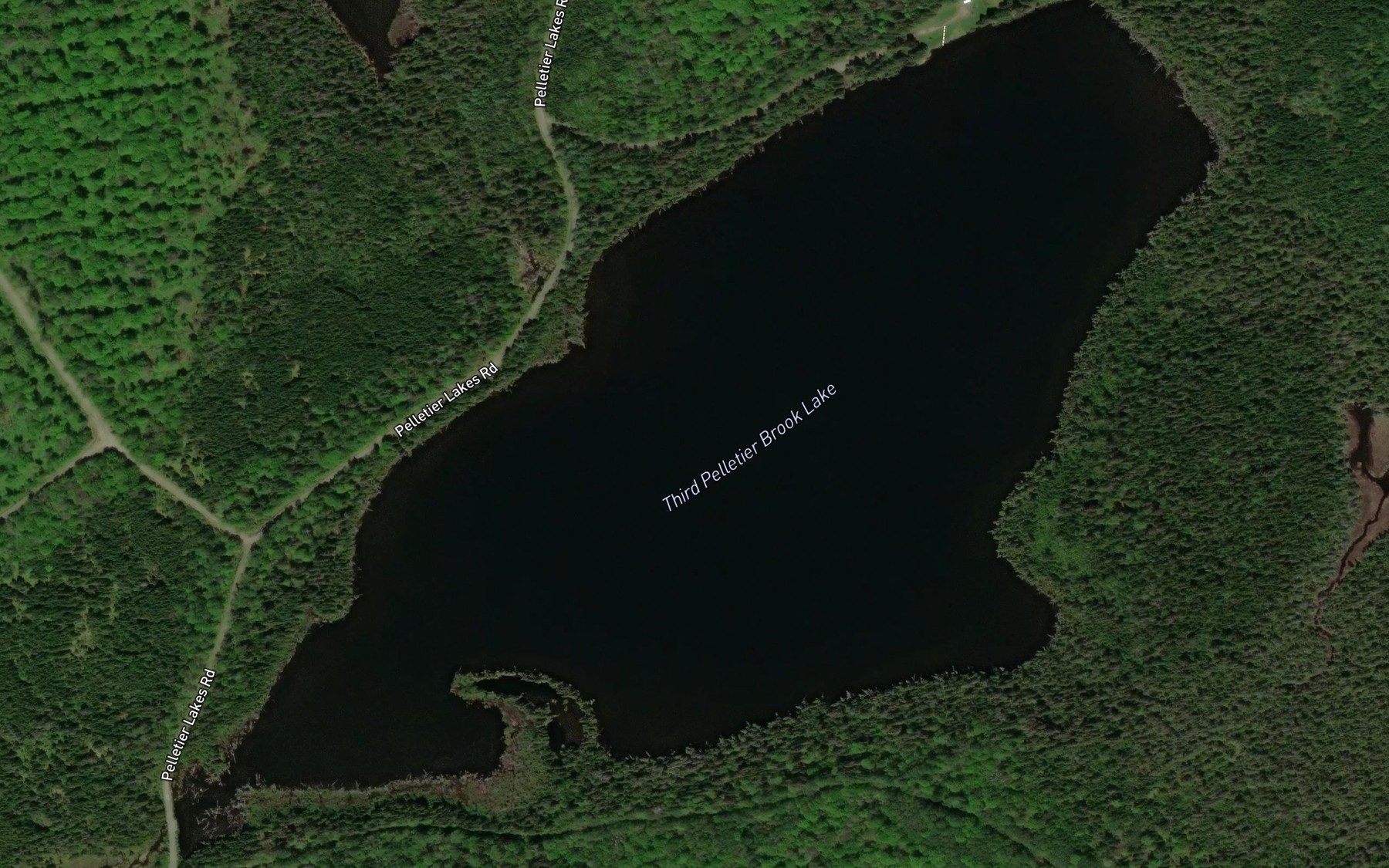 Satellite map of the Third Pelletier Brook Lake