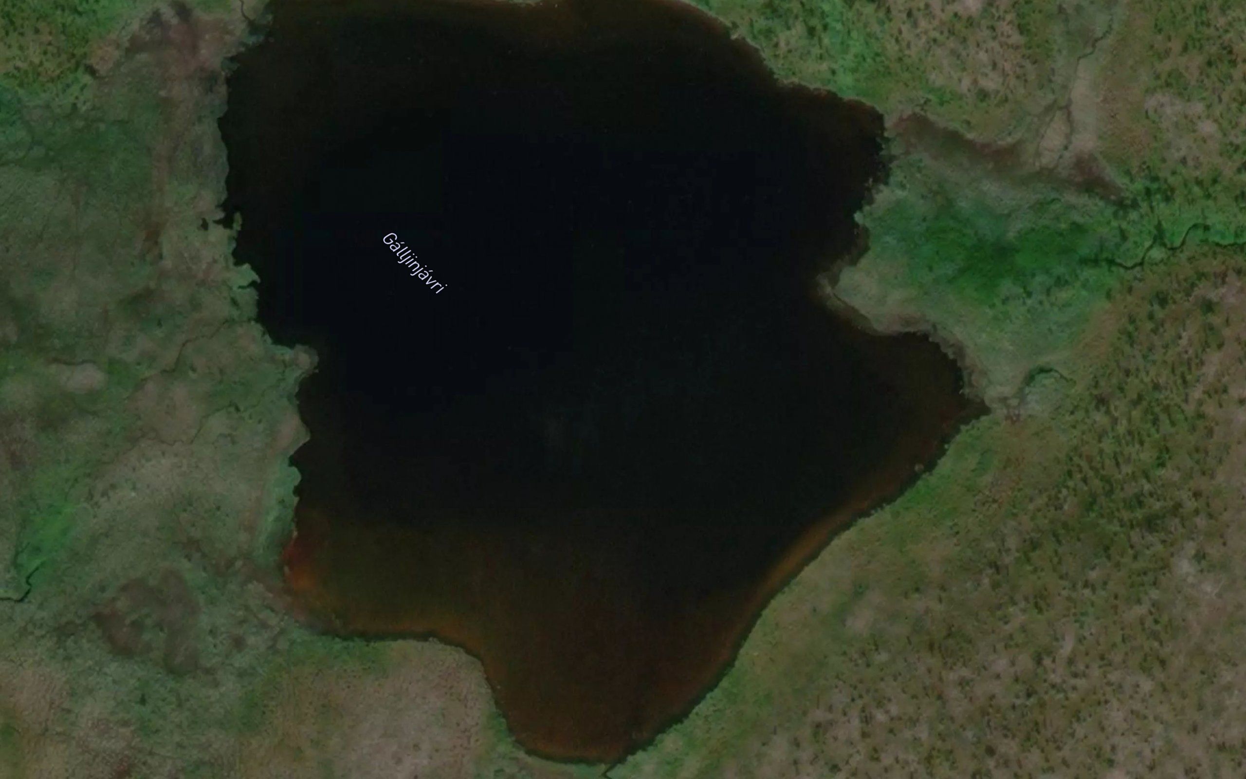 Galljinjavri
