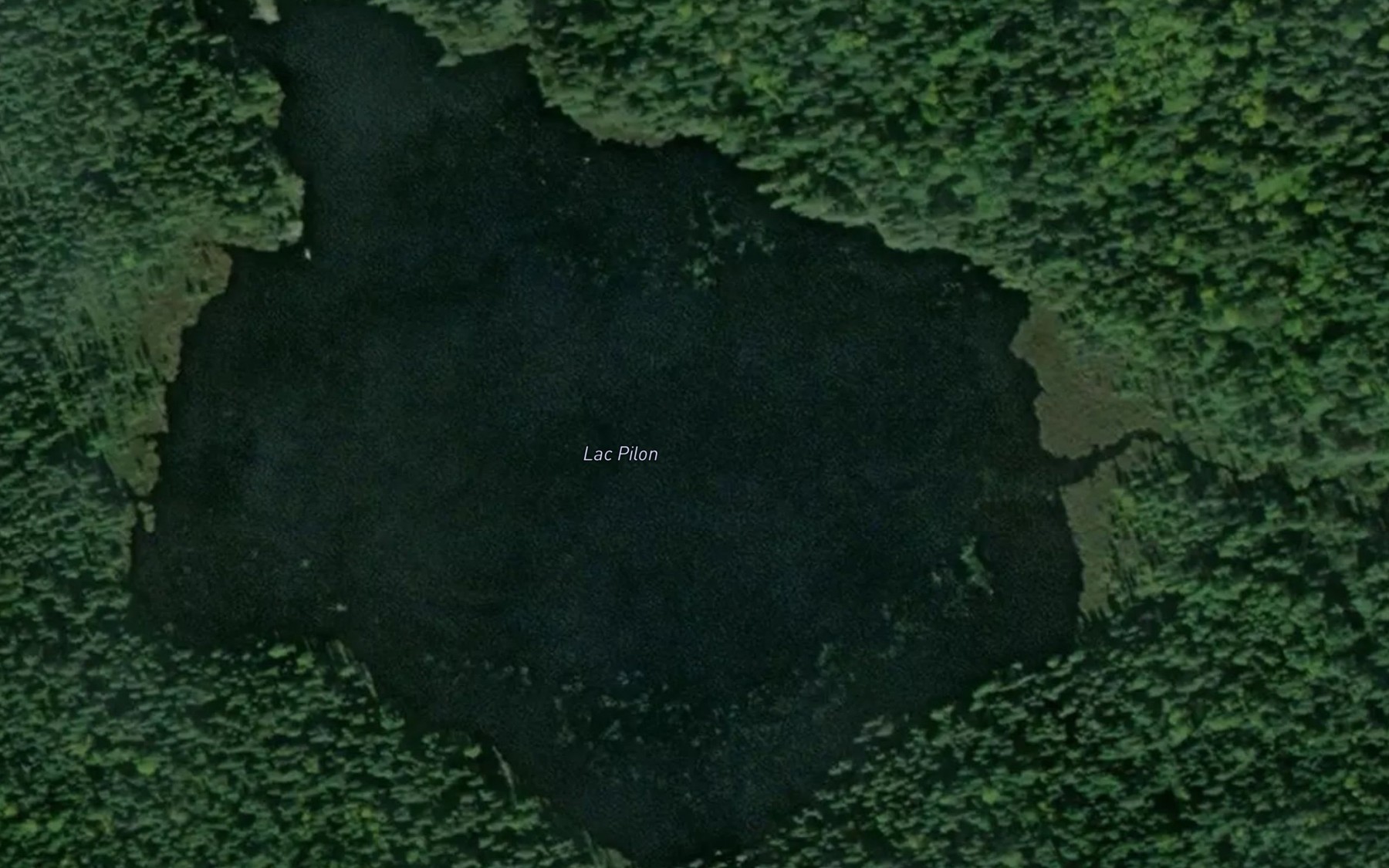 Satellite map of the Lac Pilon