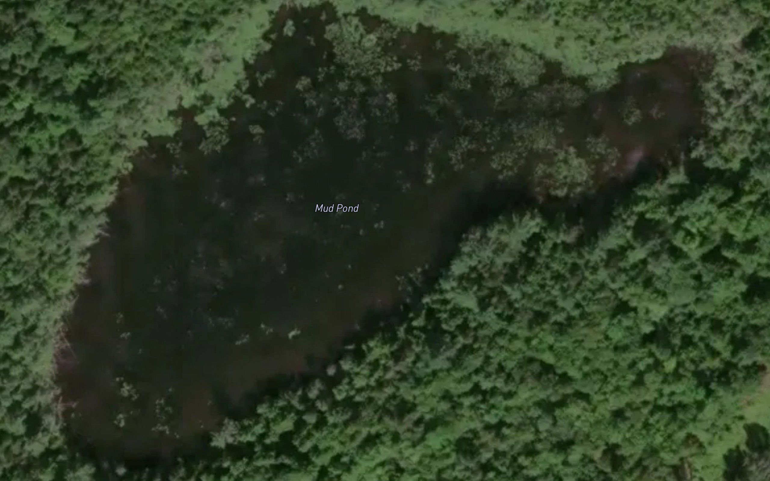 Mud Pond