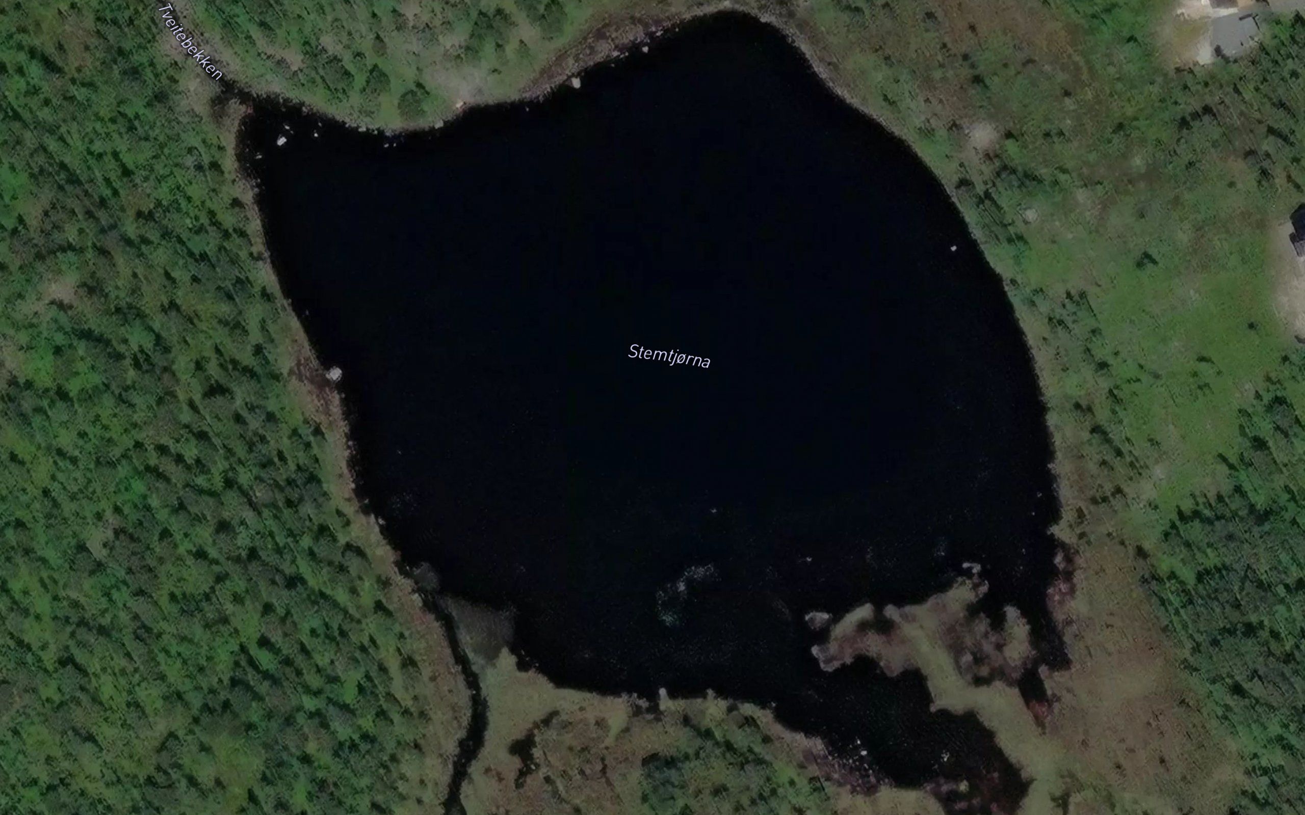 Stemtjorna