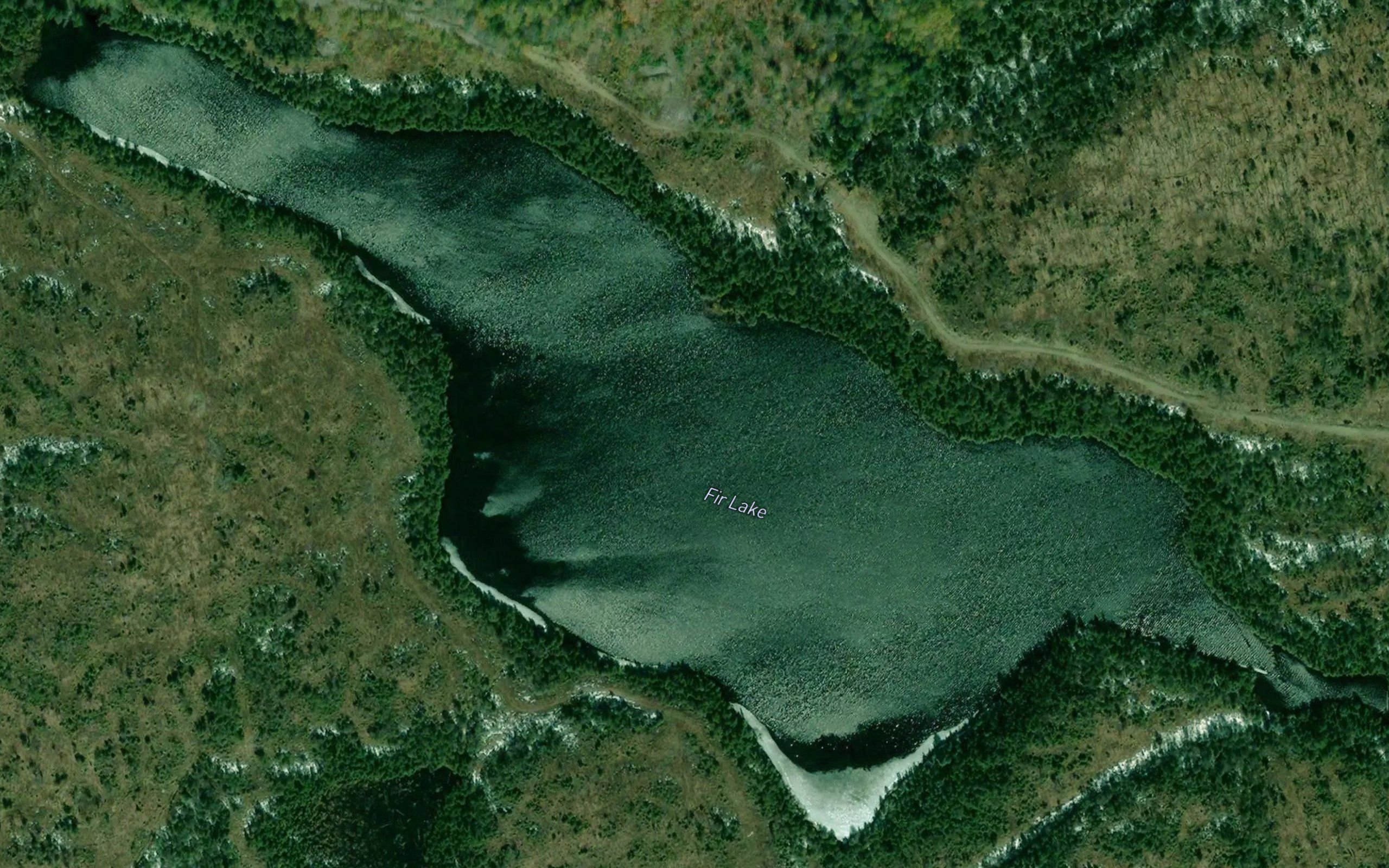 Fir Lake