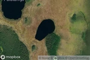 Liimonlampi