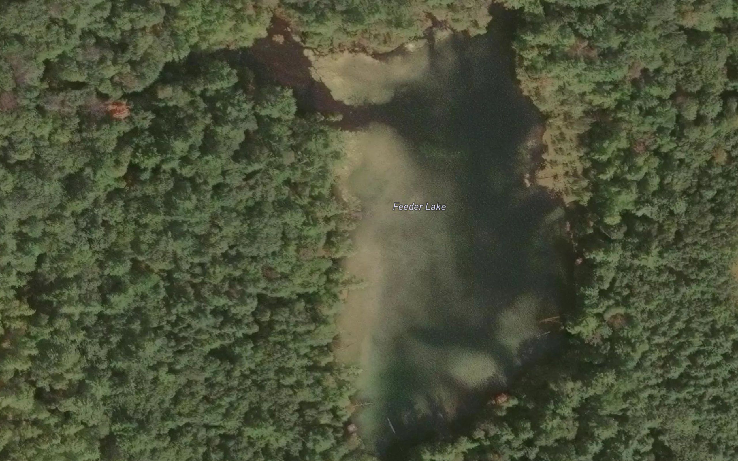 Feeder Lake