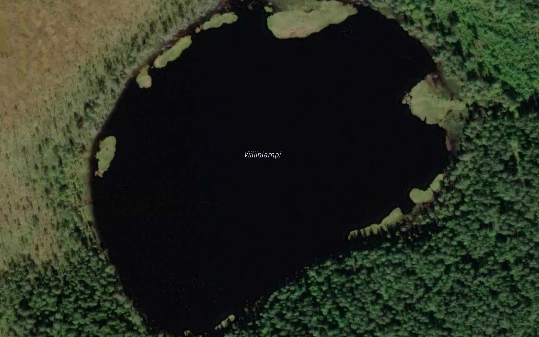 Satellite map of the Viiliinlampi