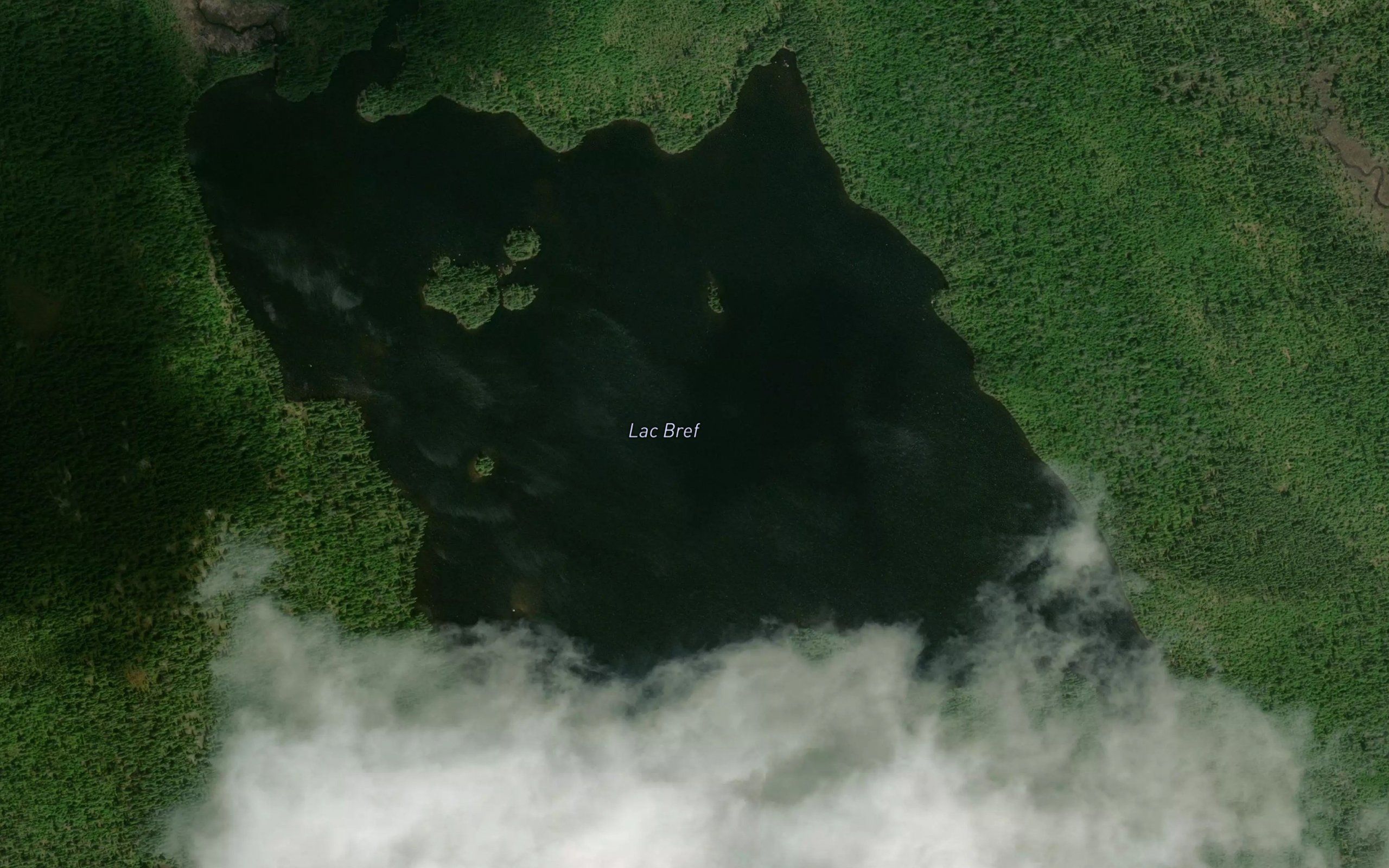 Lac Bref