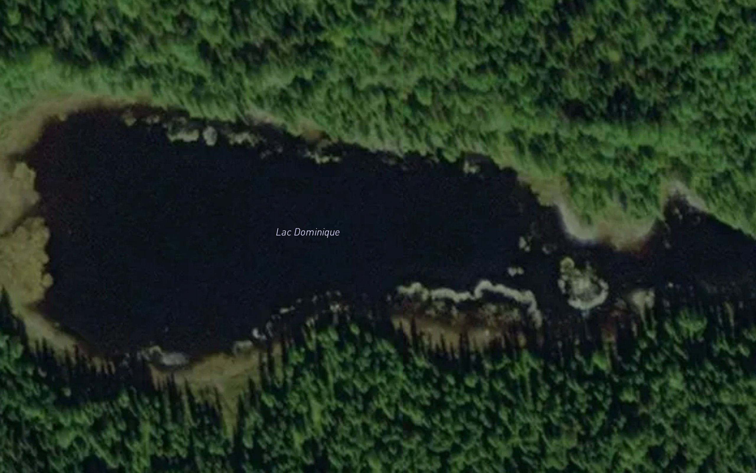 Lac Dominique