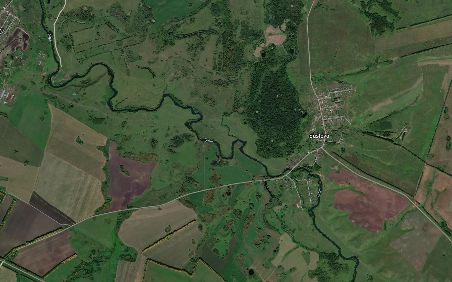 Satellite map of the Shady