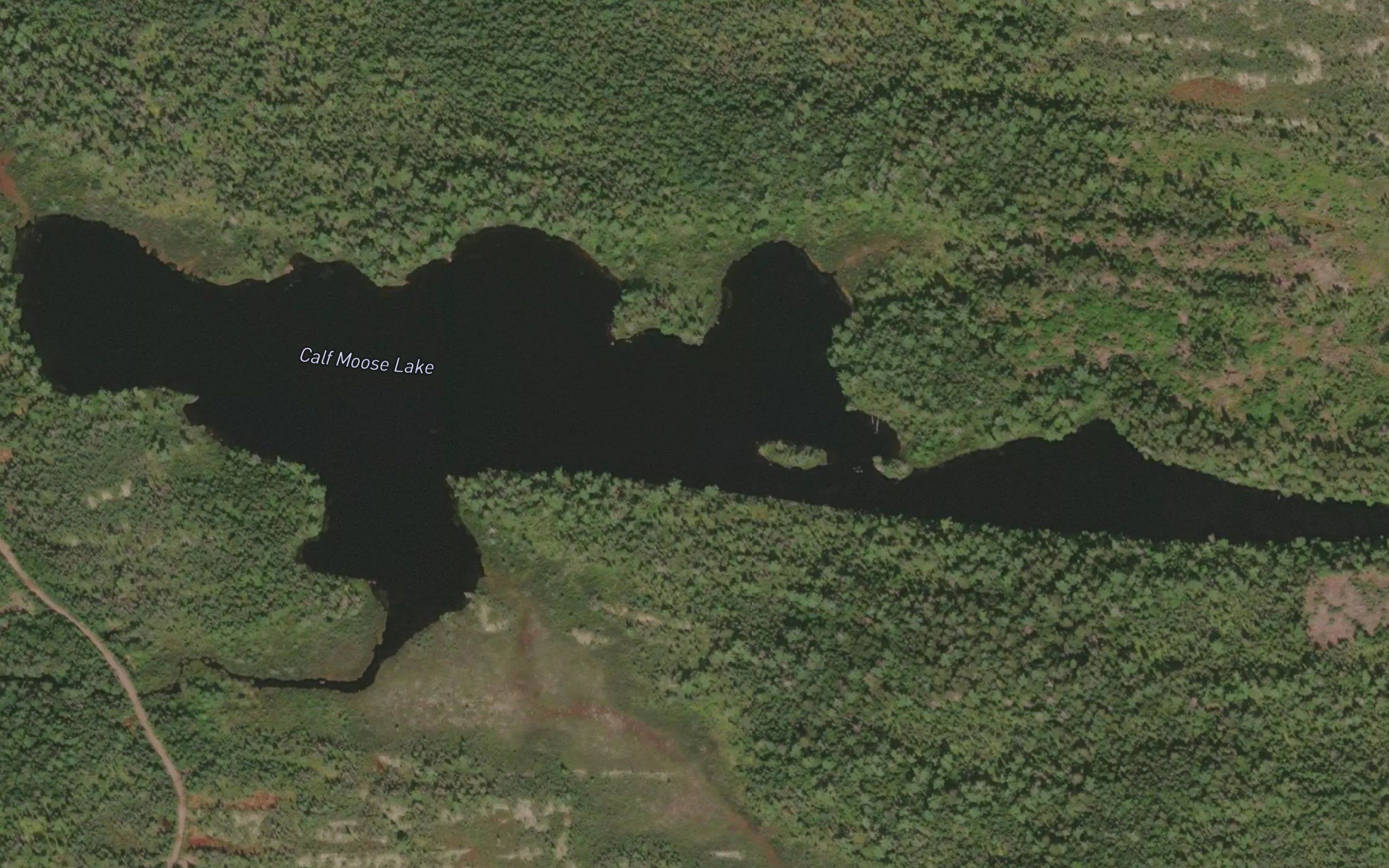 Calf Moose Lake