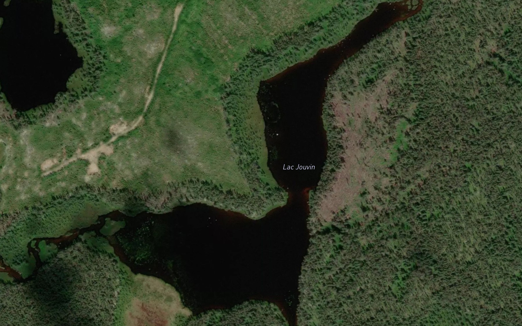 Satellite map of the Lac Jouvin