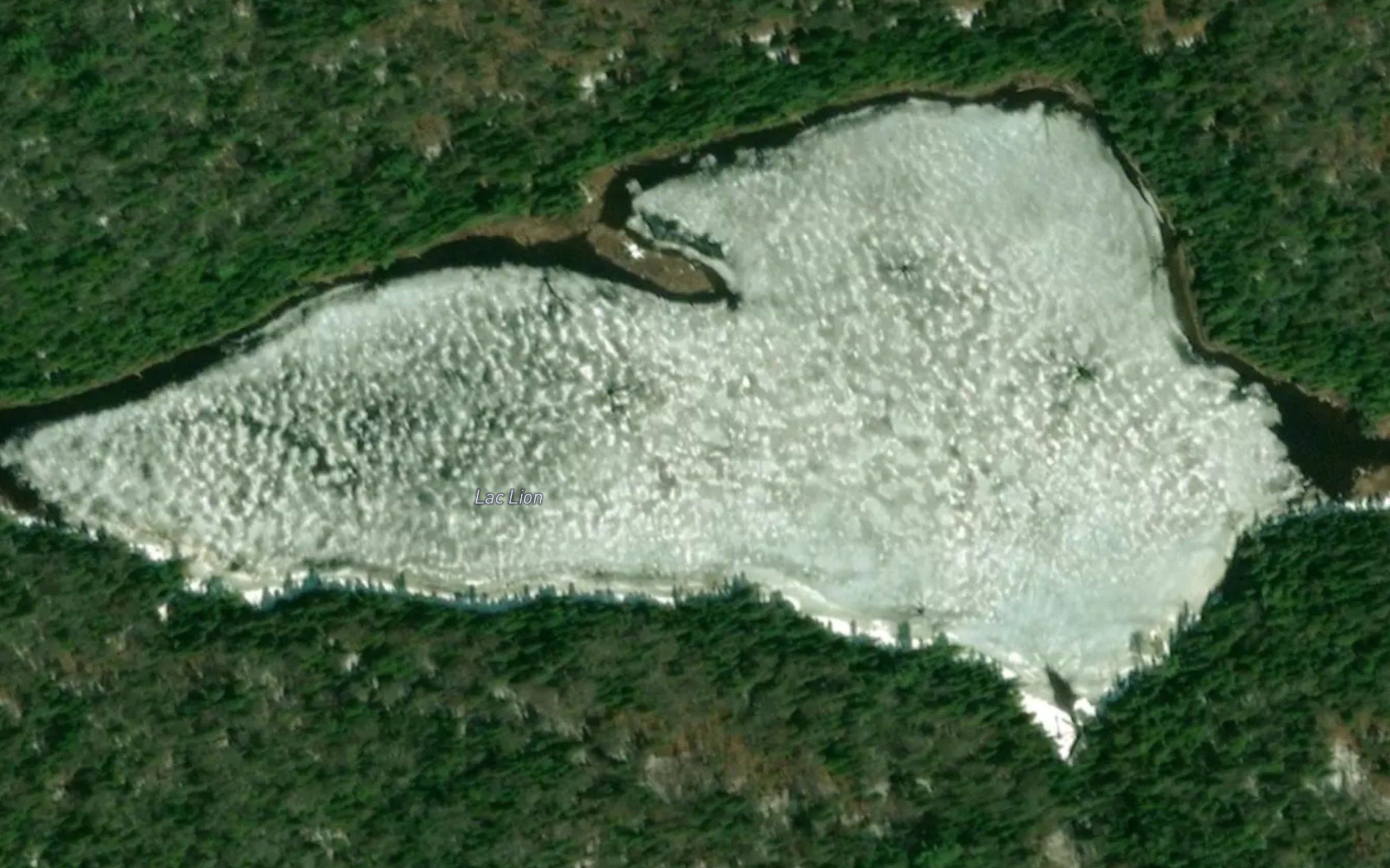Lac Lion