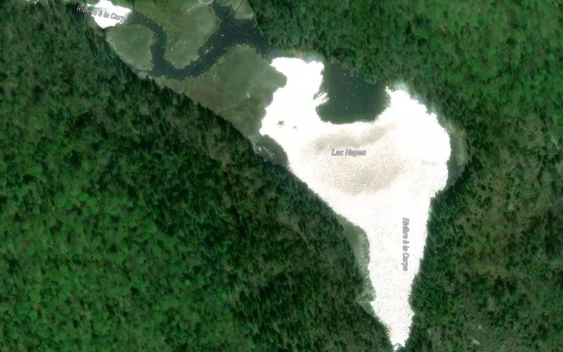 Satellite map of the Lac Napes