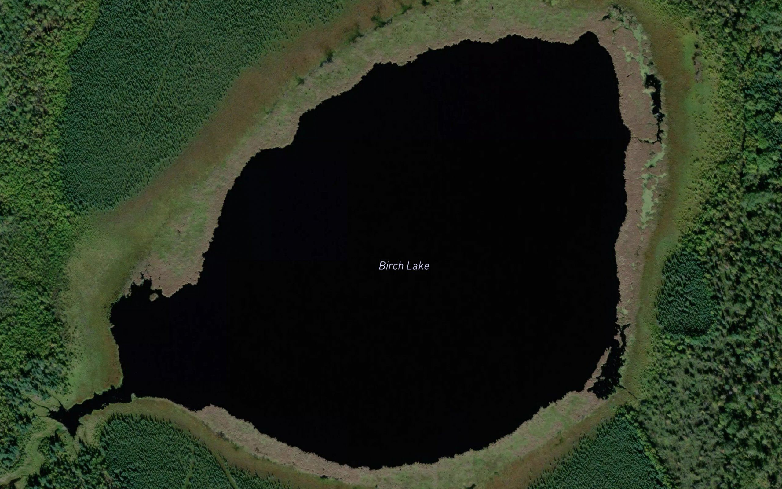 Birch Lake