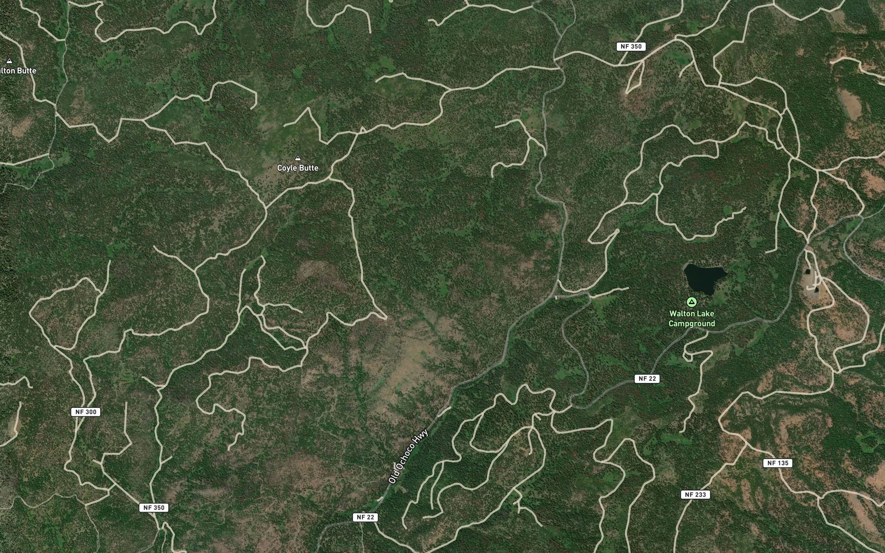 Satellite map of the McAllister Spring