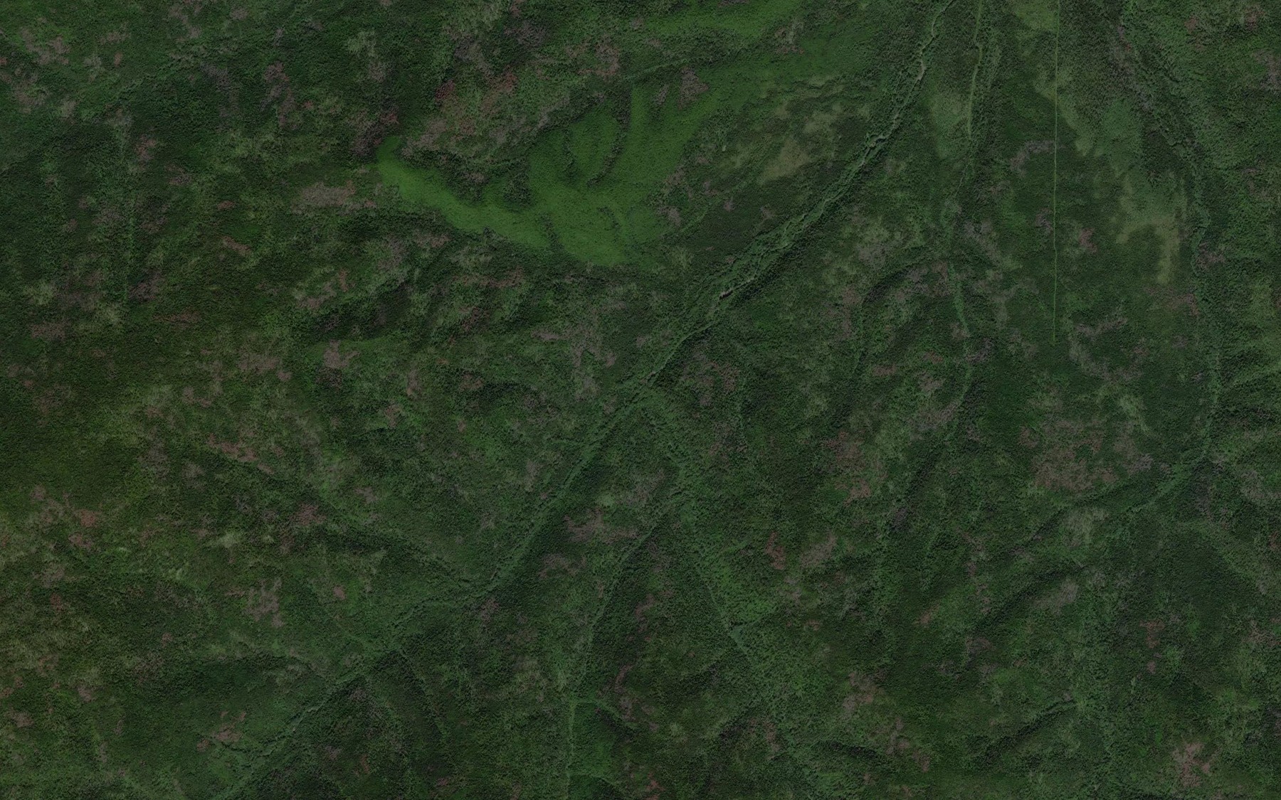Satellite map of the Tabornyy
