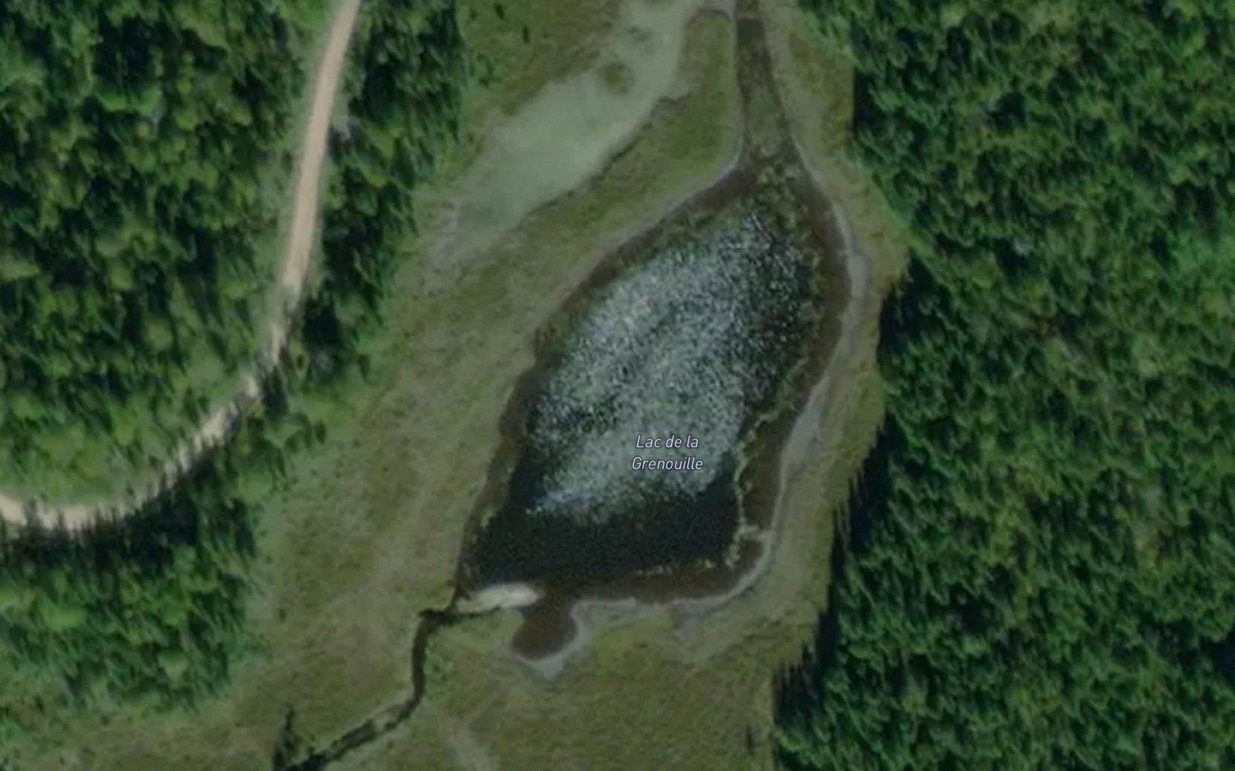 Satellite map of the Lac de la Grenouille