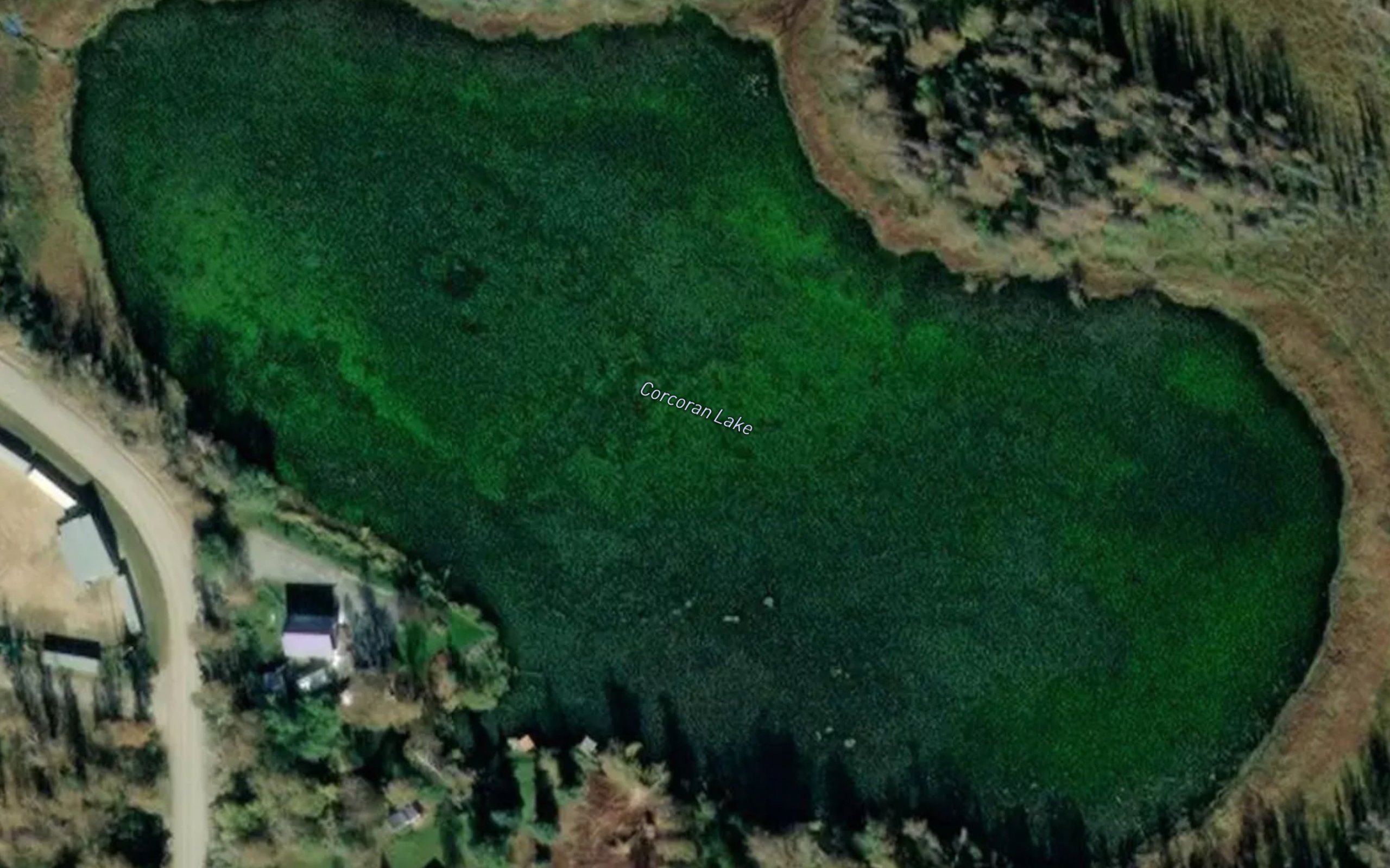 Corcoran Lake