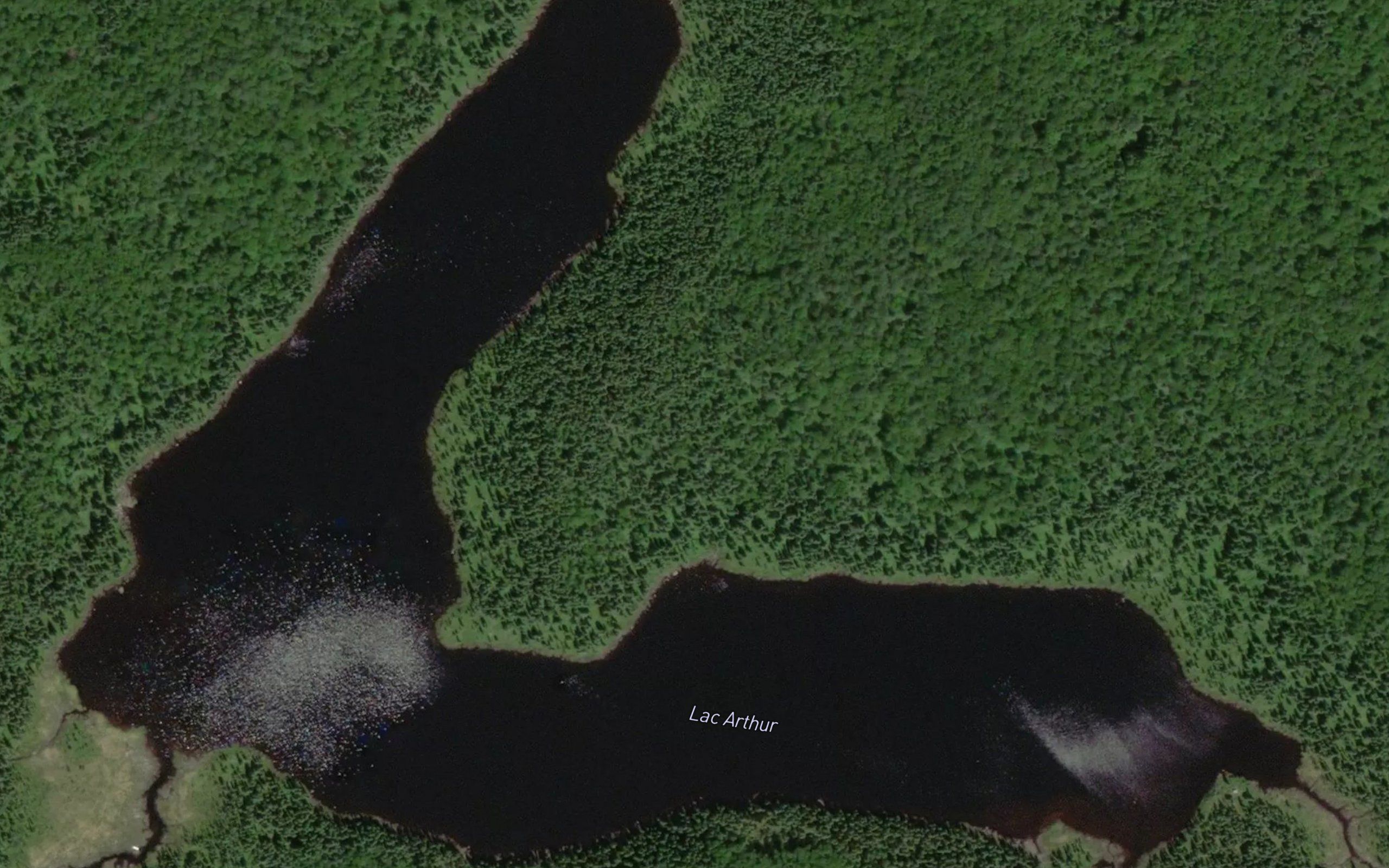 Lac Arthur