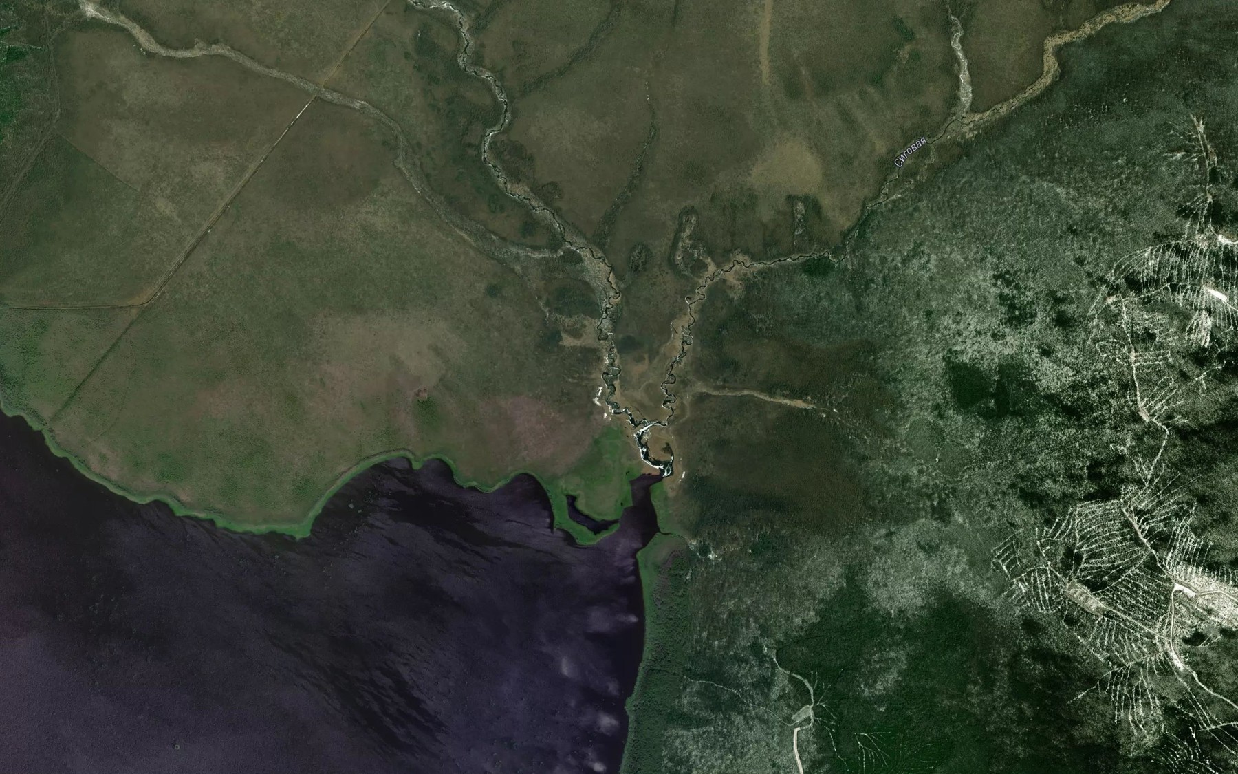 Satellite map of the Malaya Sigovaya