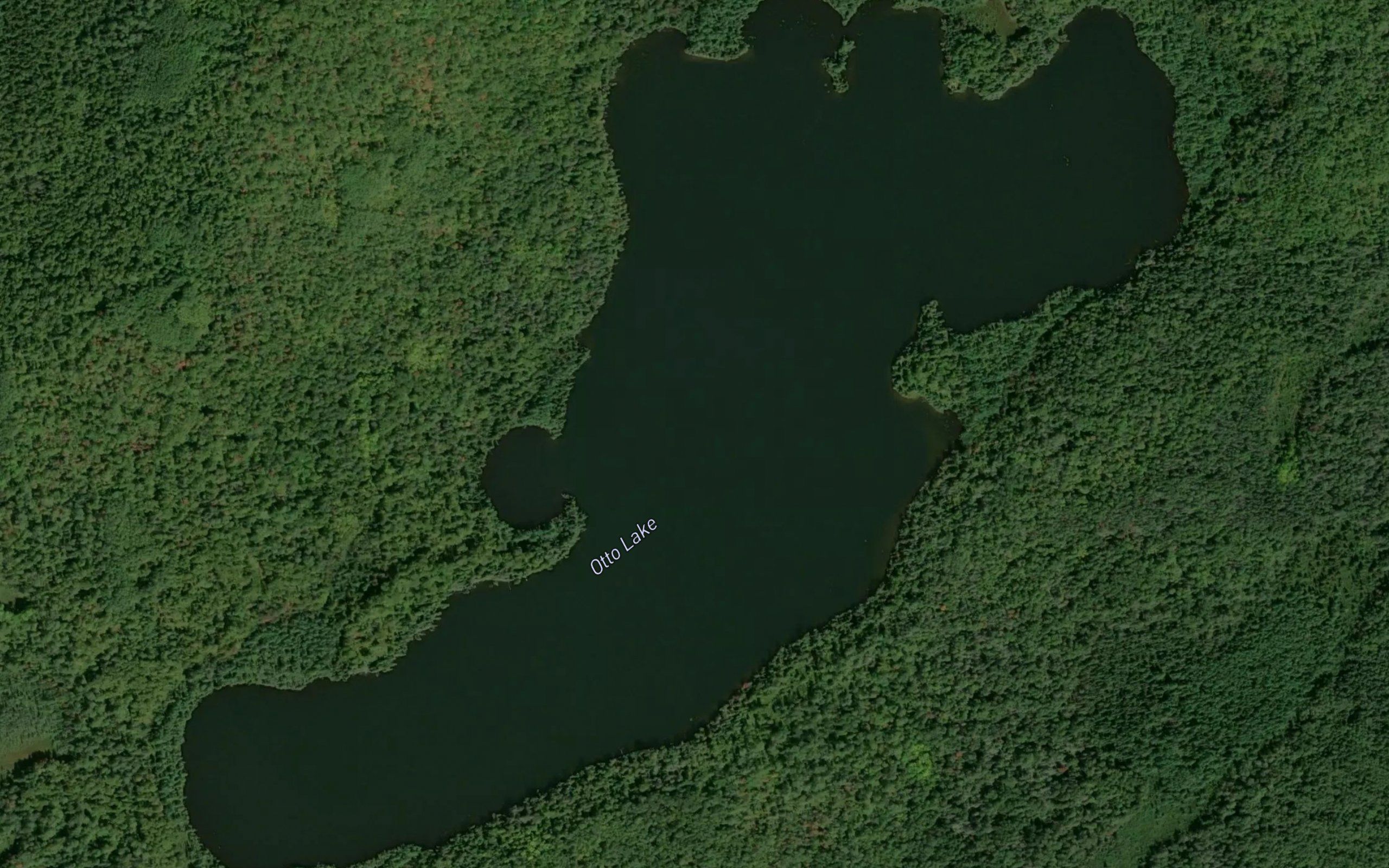 Otto Lake