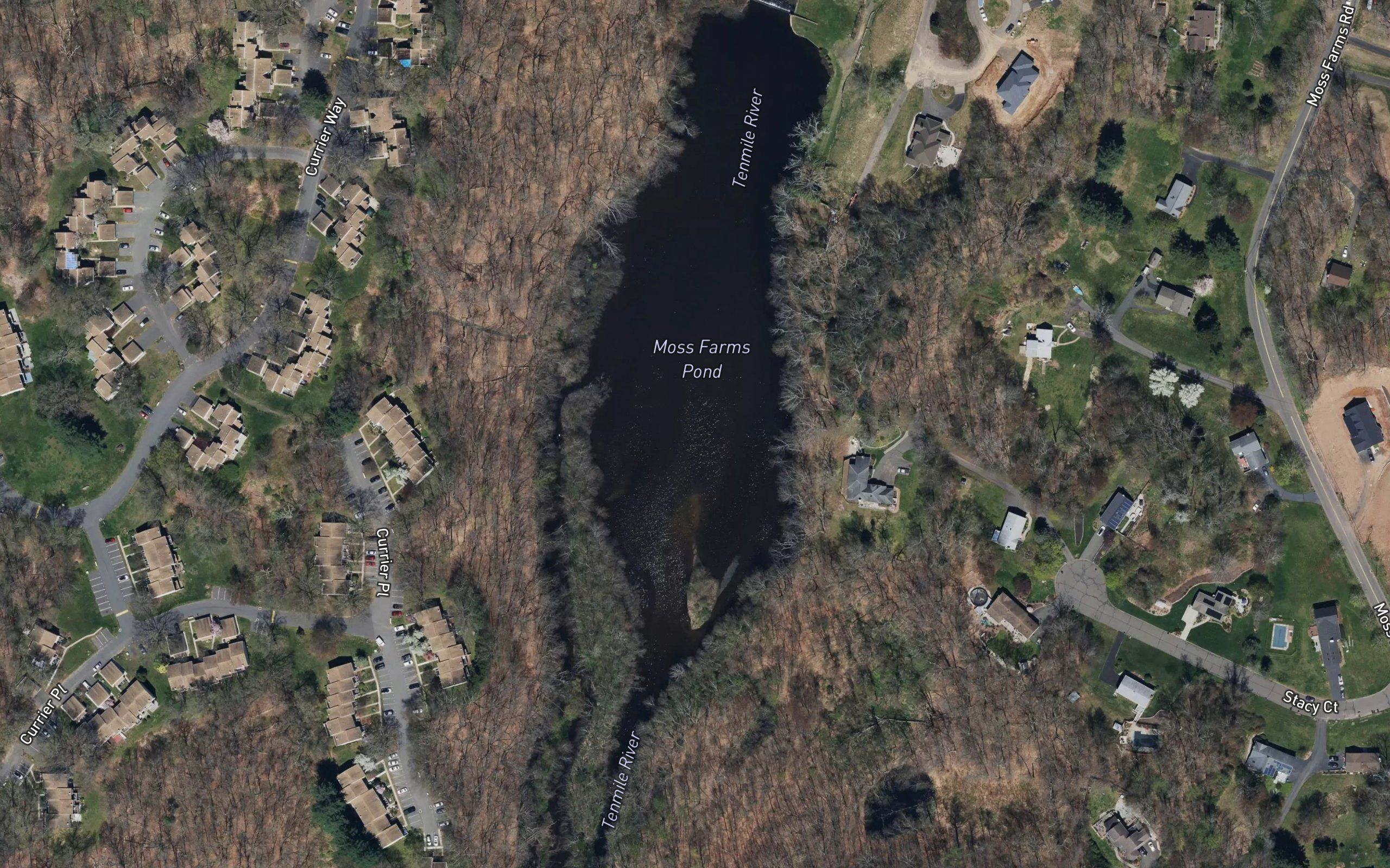 Moss Farms Pond