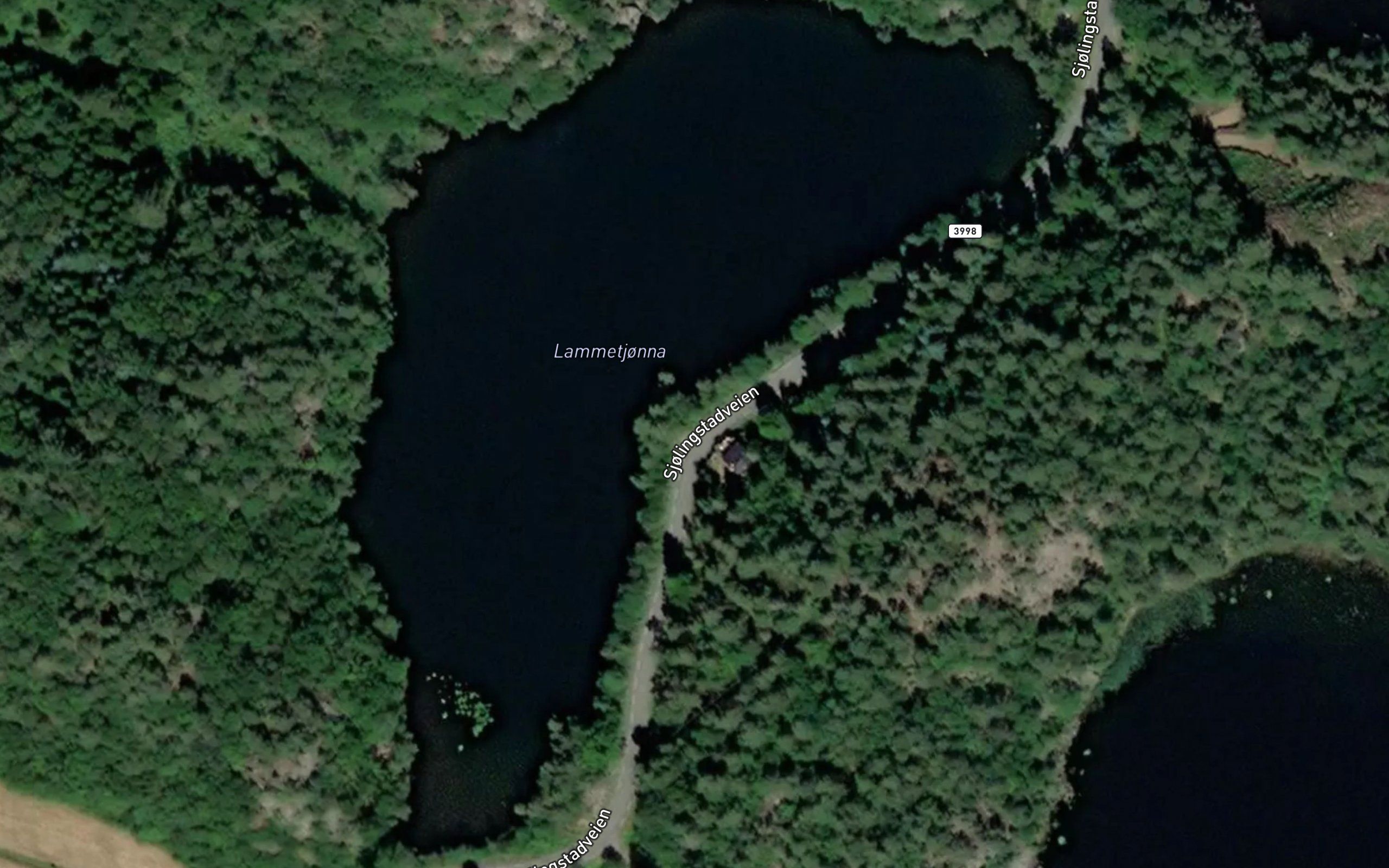 Lammetjonna