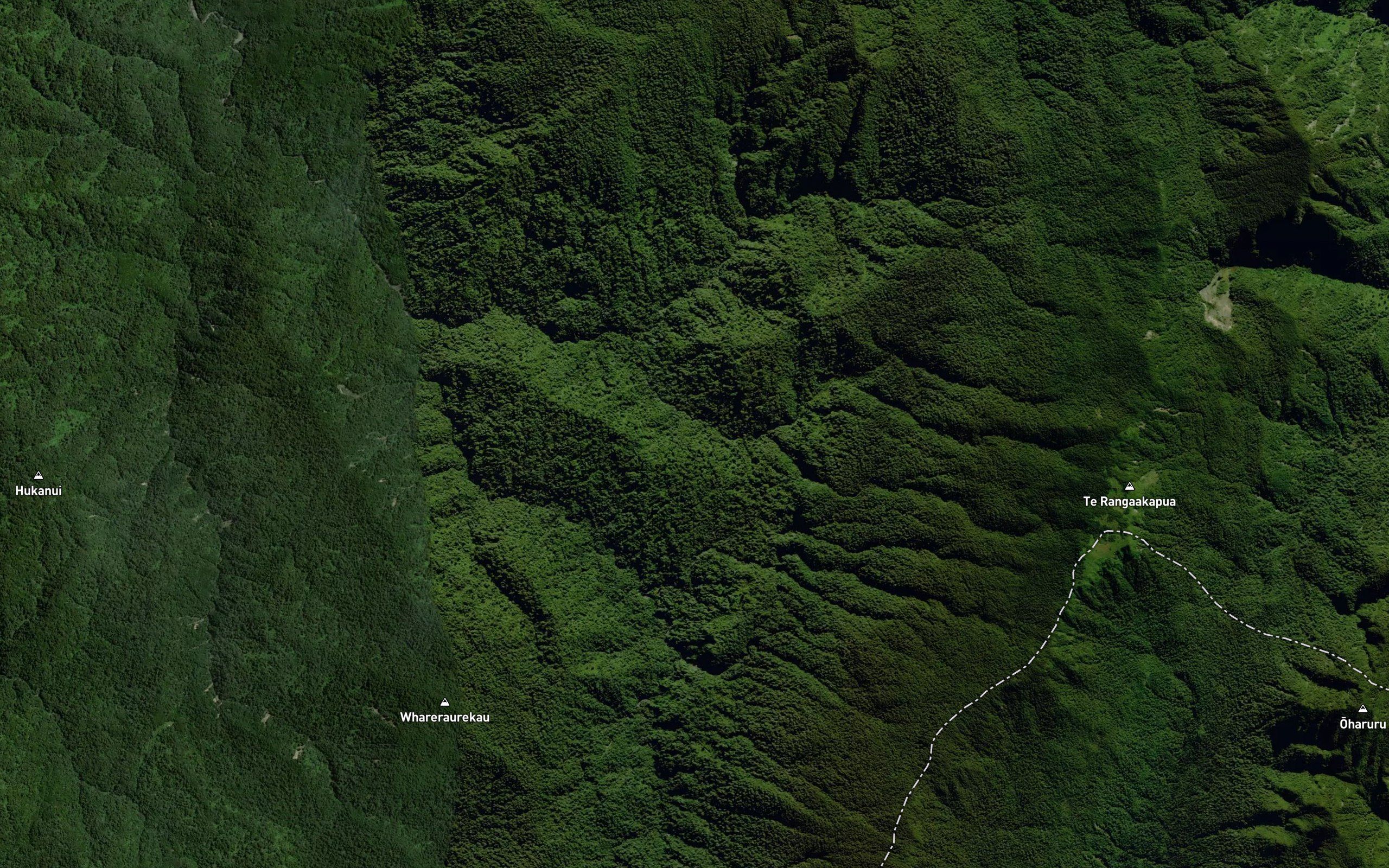 Kapua Stream
