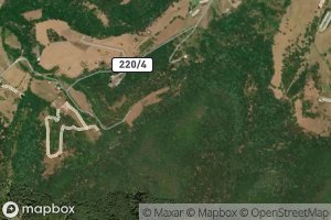 Satellite map of the Wards Run Spring