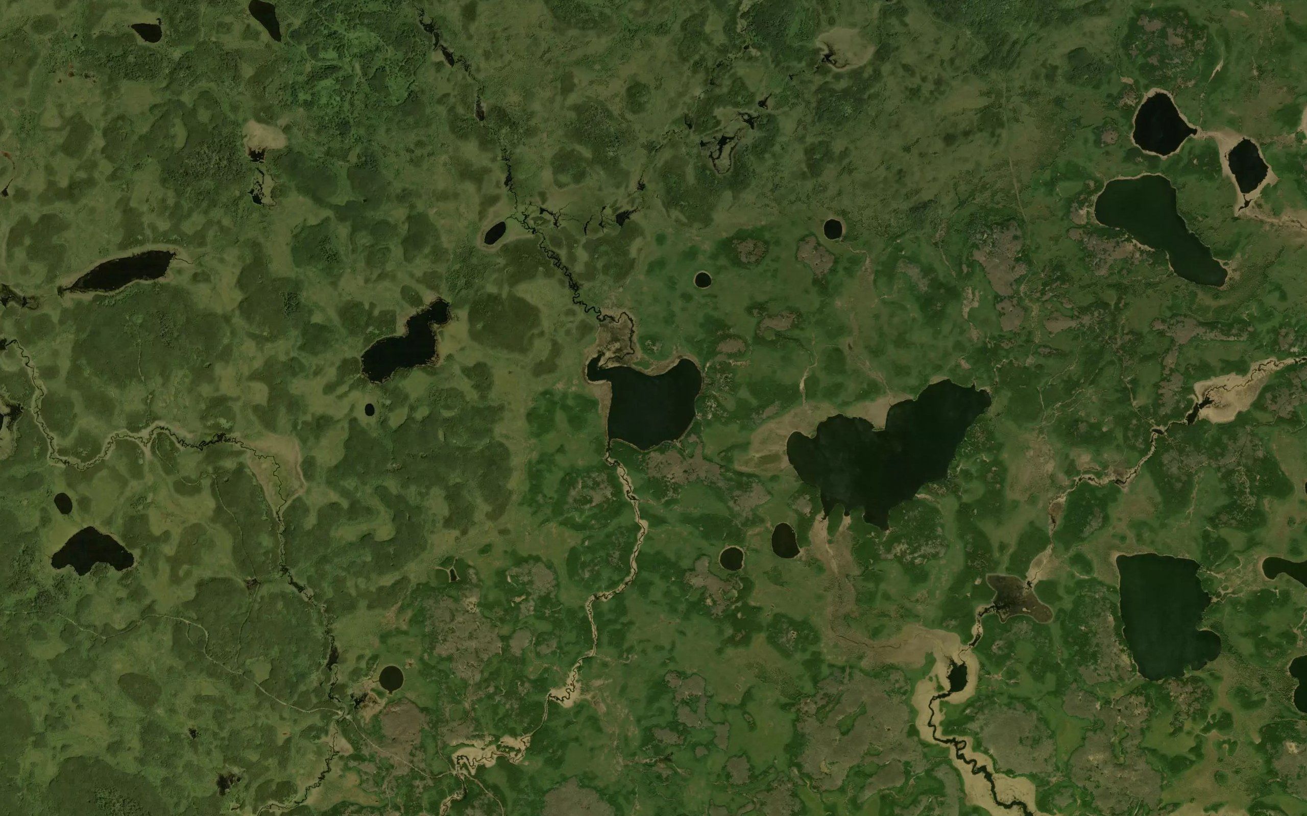 Grizzly Bear Lake