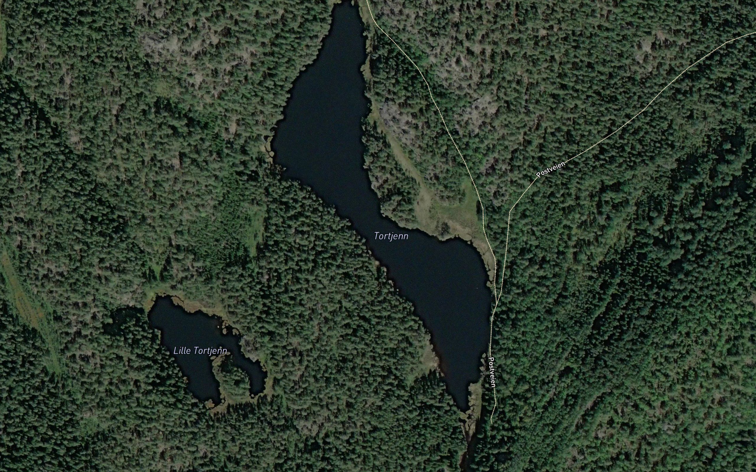 Tortjern