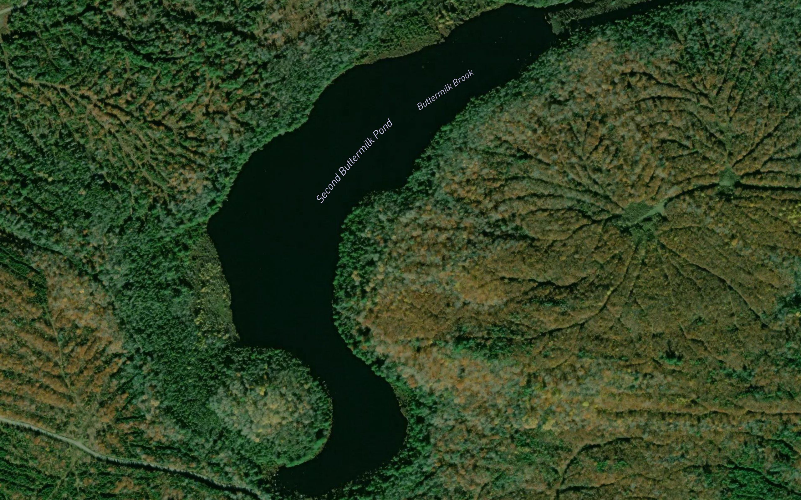 Second Buttermilk Pond