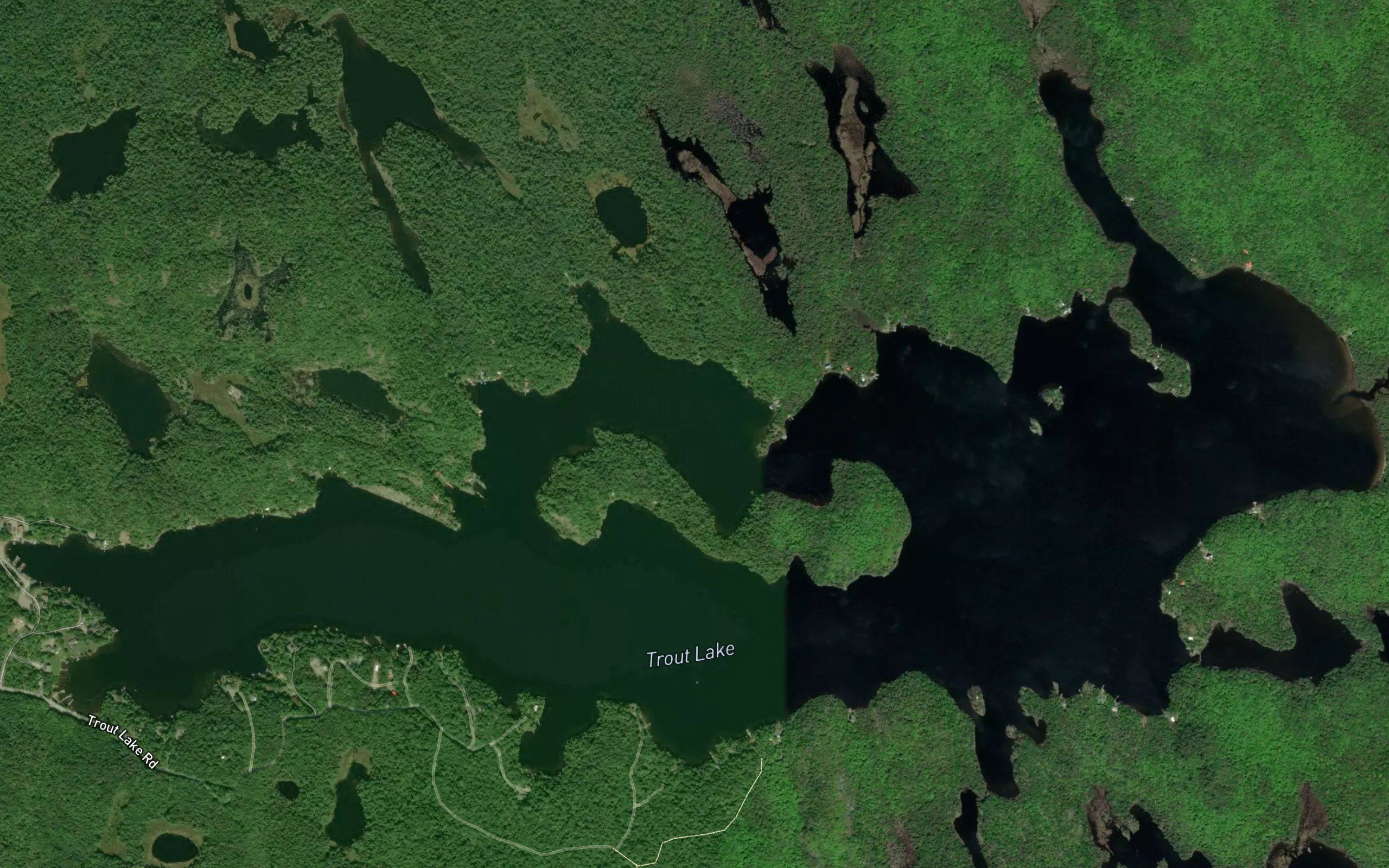 Trout Lake