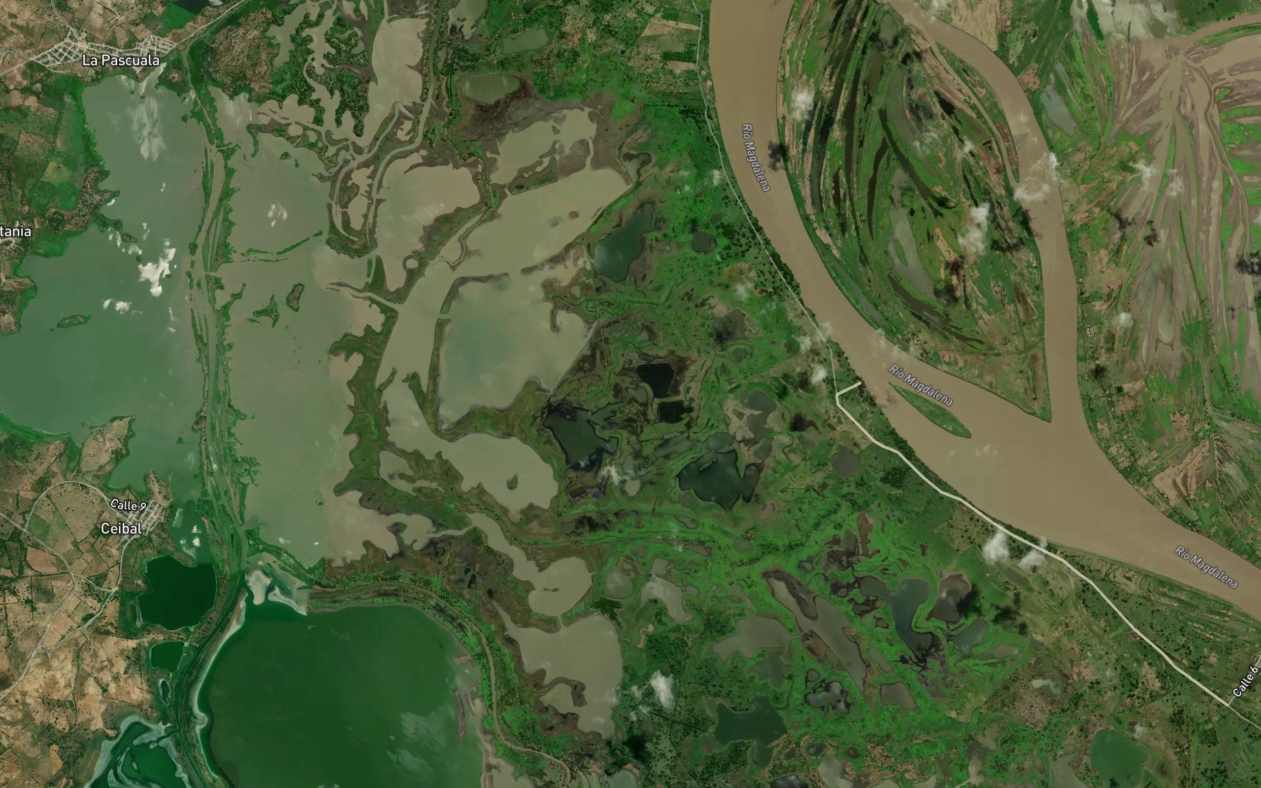 Cienaga del Guayacan