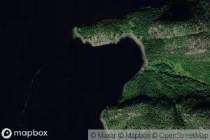 Lyngnesvika