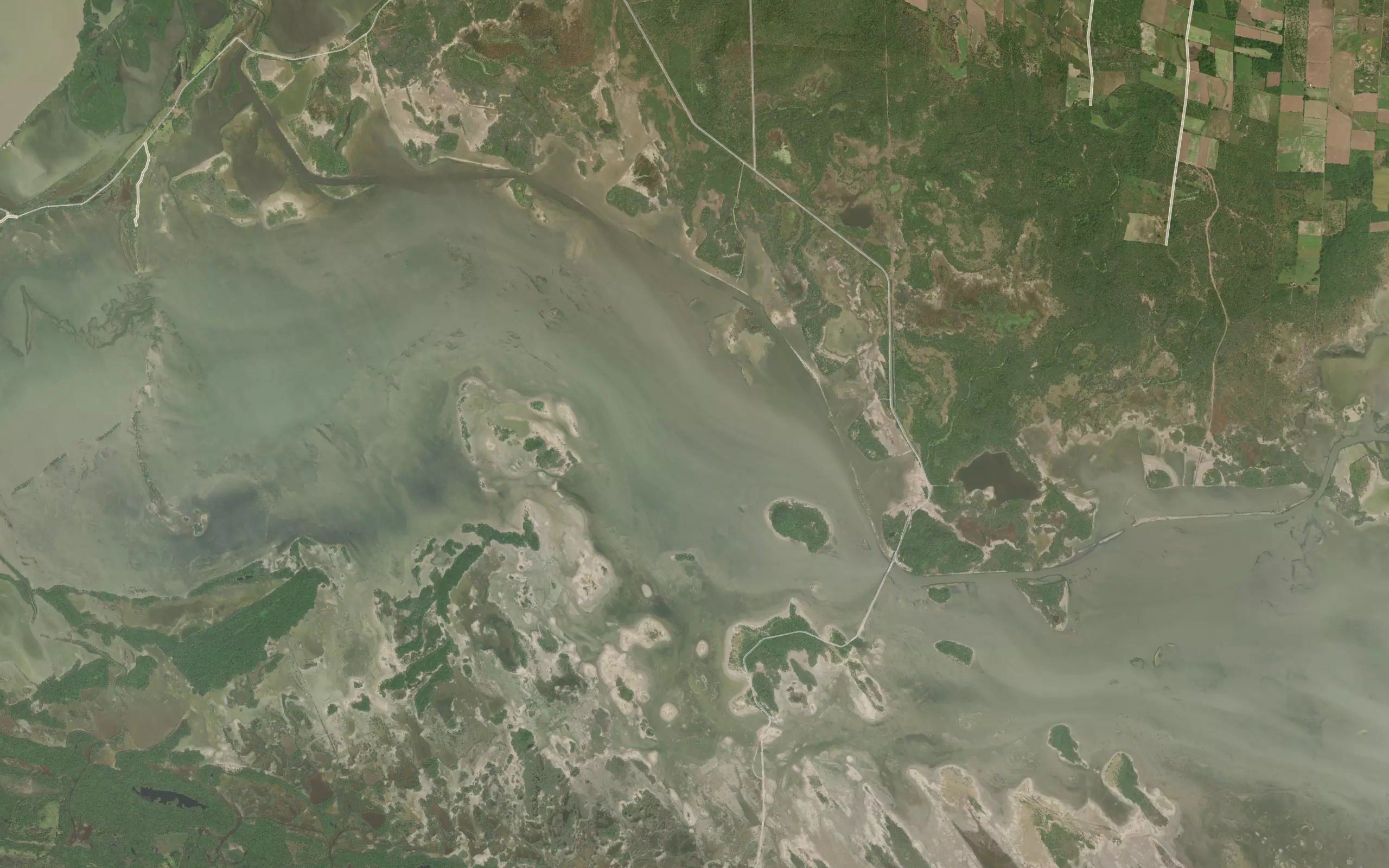 Estero Aguachil