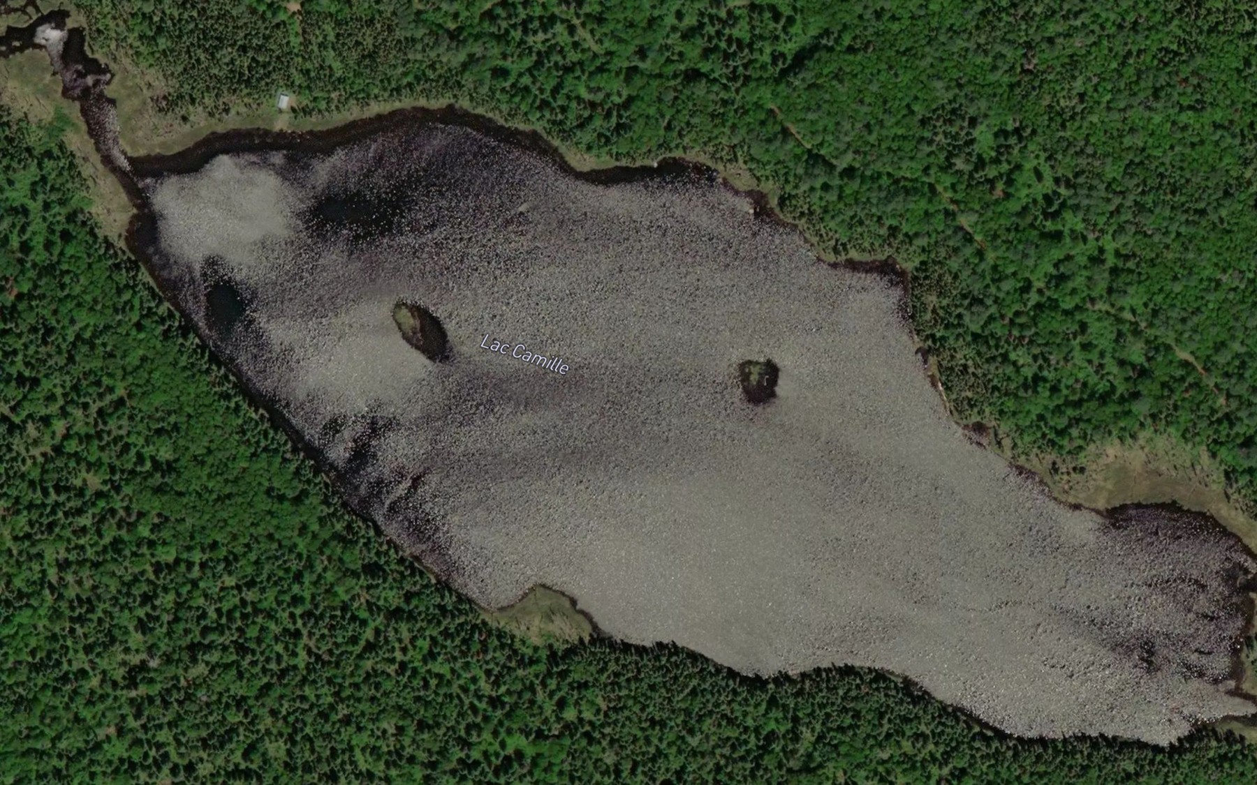 Satellite map of the Lac Camille