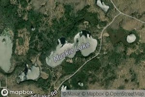 Muskie Lake