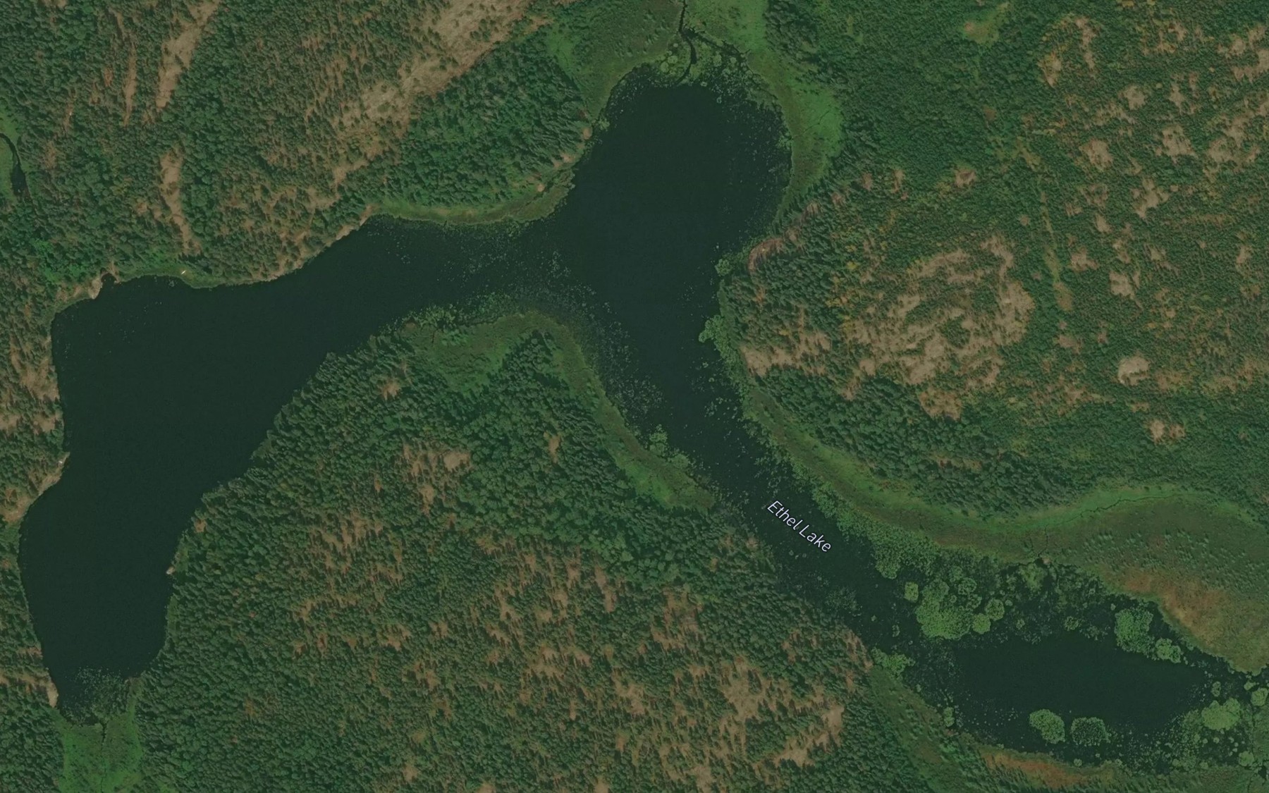 Satellite map of the Ethel Lake