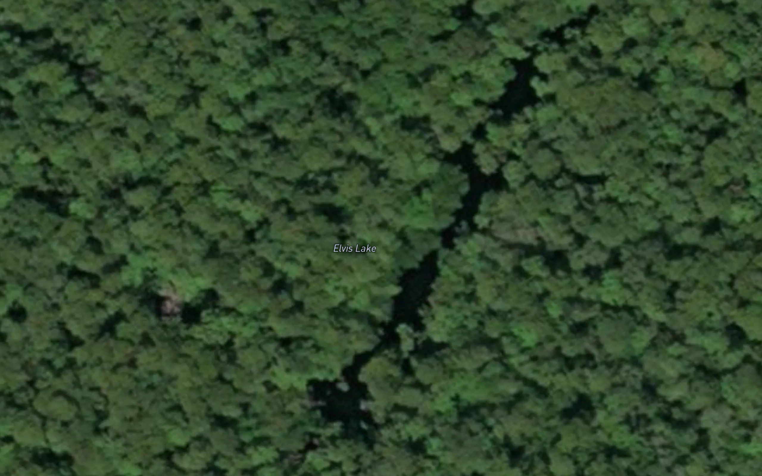 Elvis Lake
