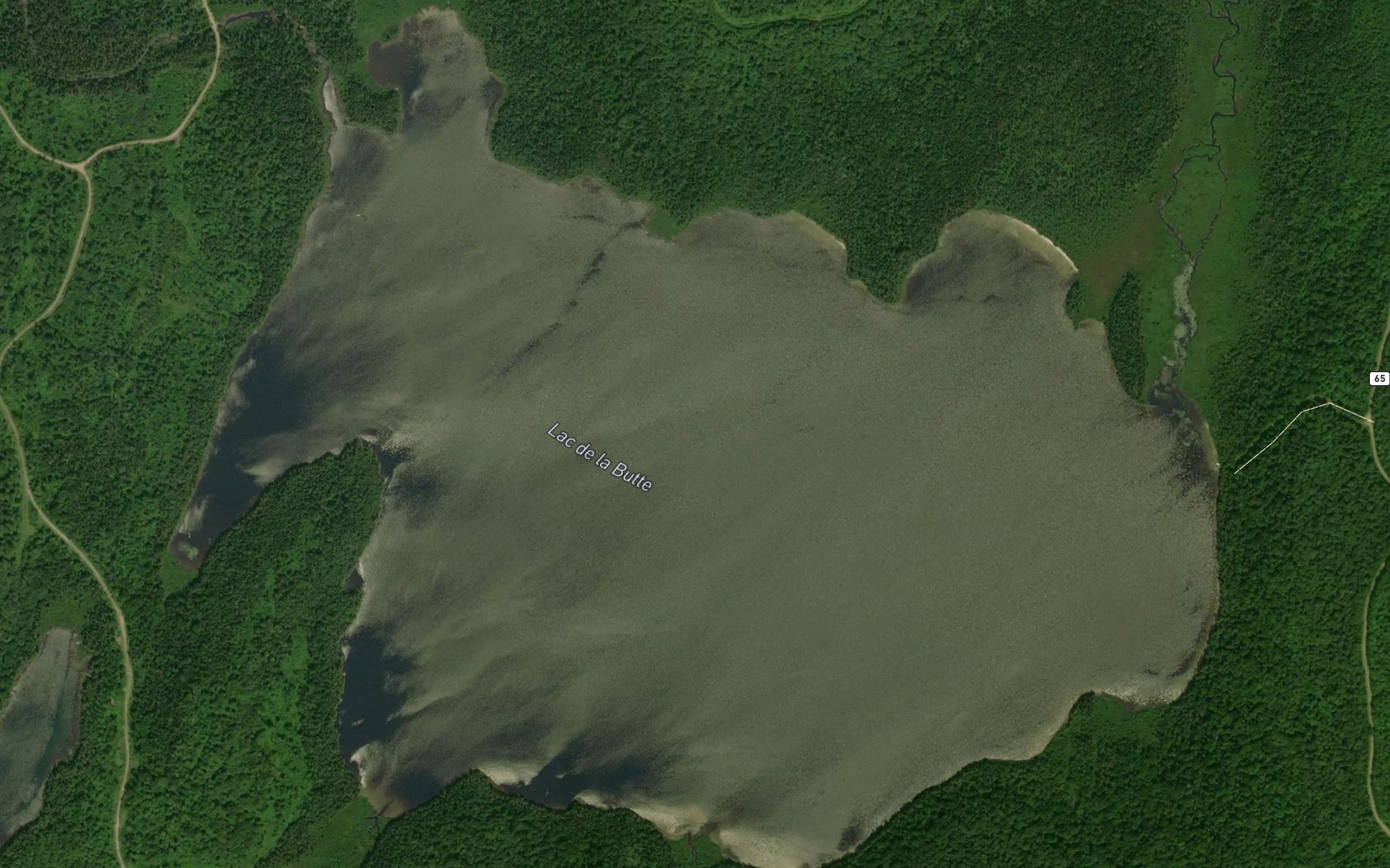 Satellite map of the Lac de la Butte