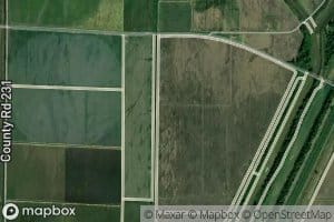 Ditch Number 82