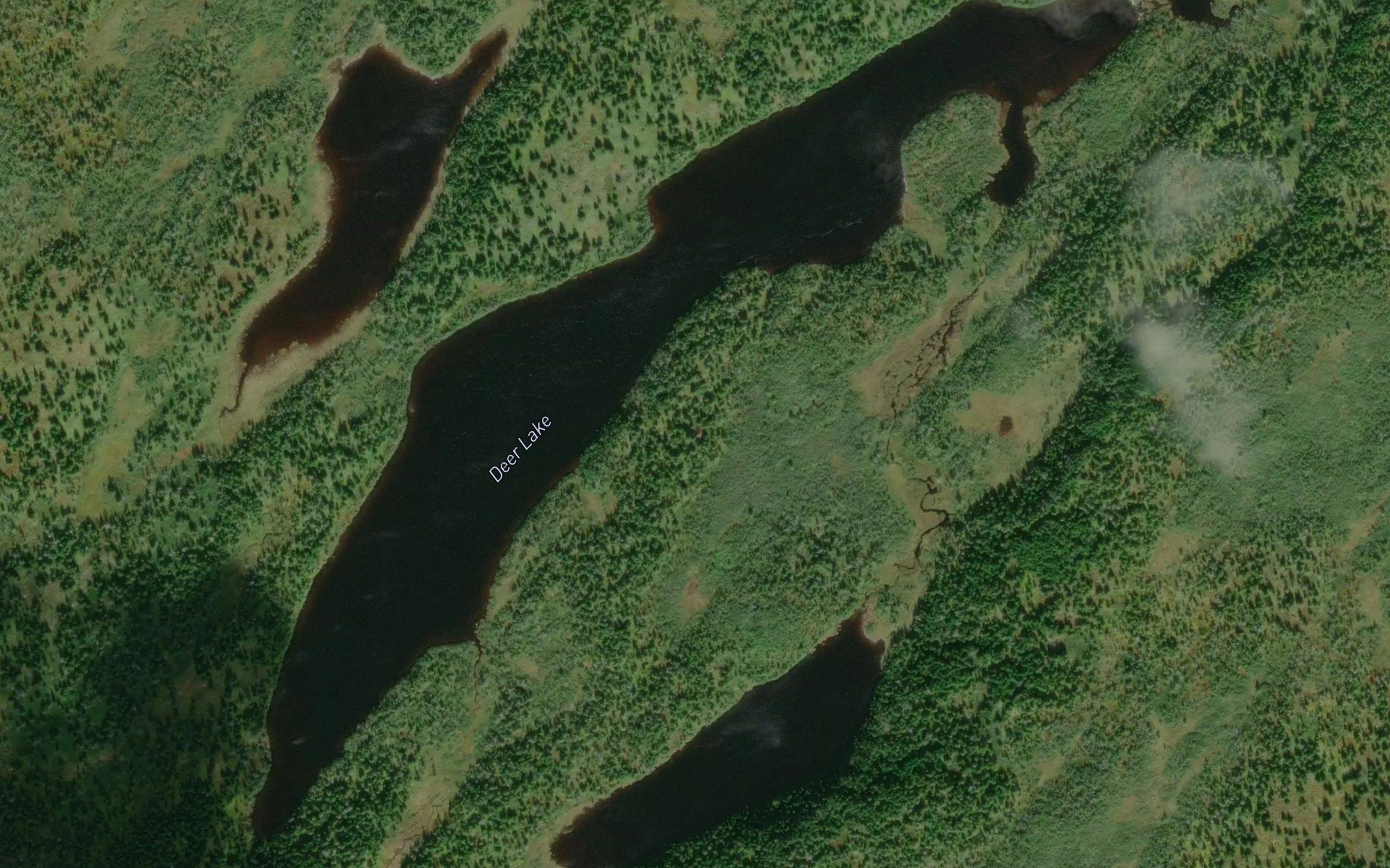 Deer Lake