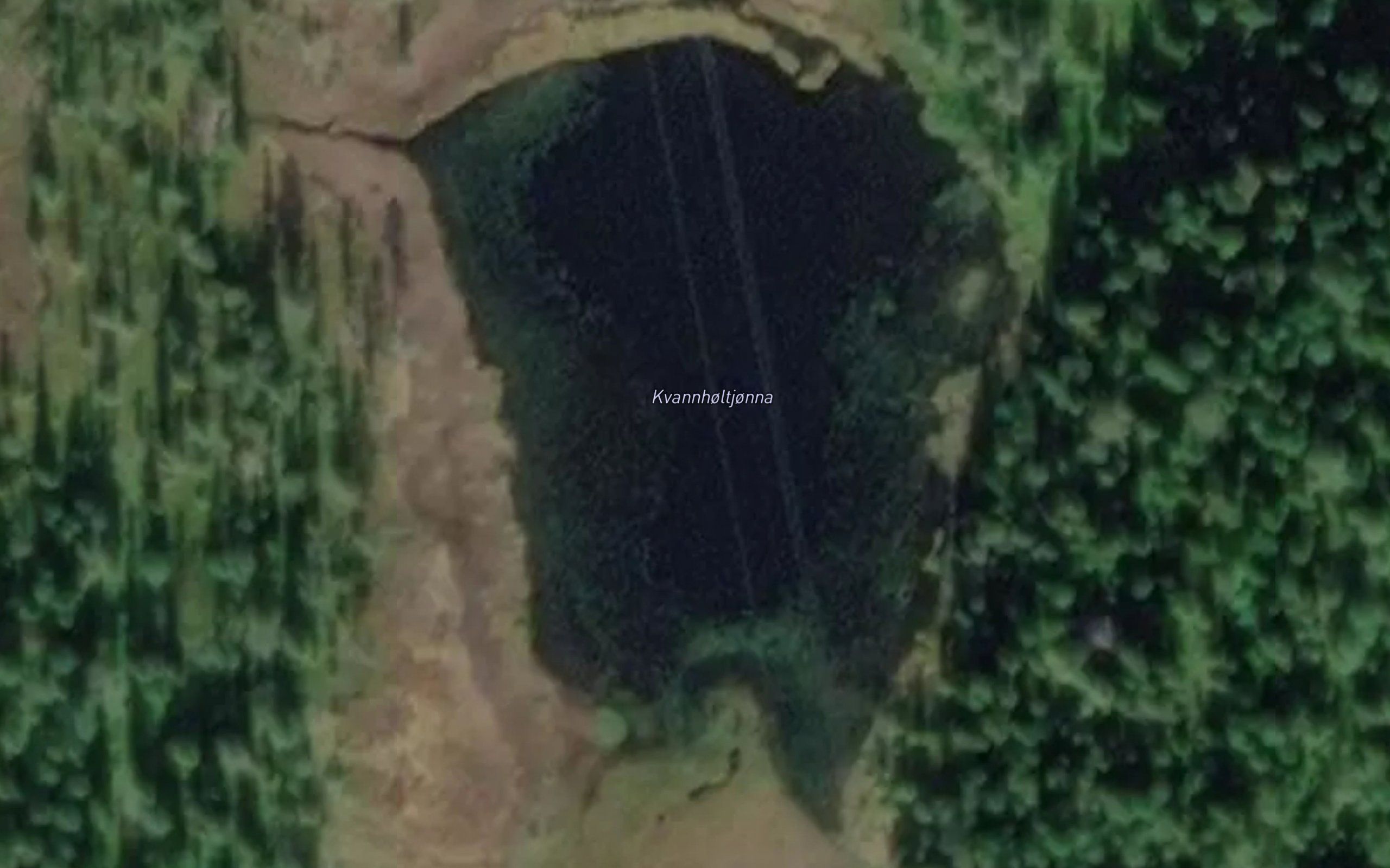 Kvannholtjonna