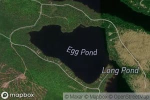 Egg Pond