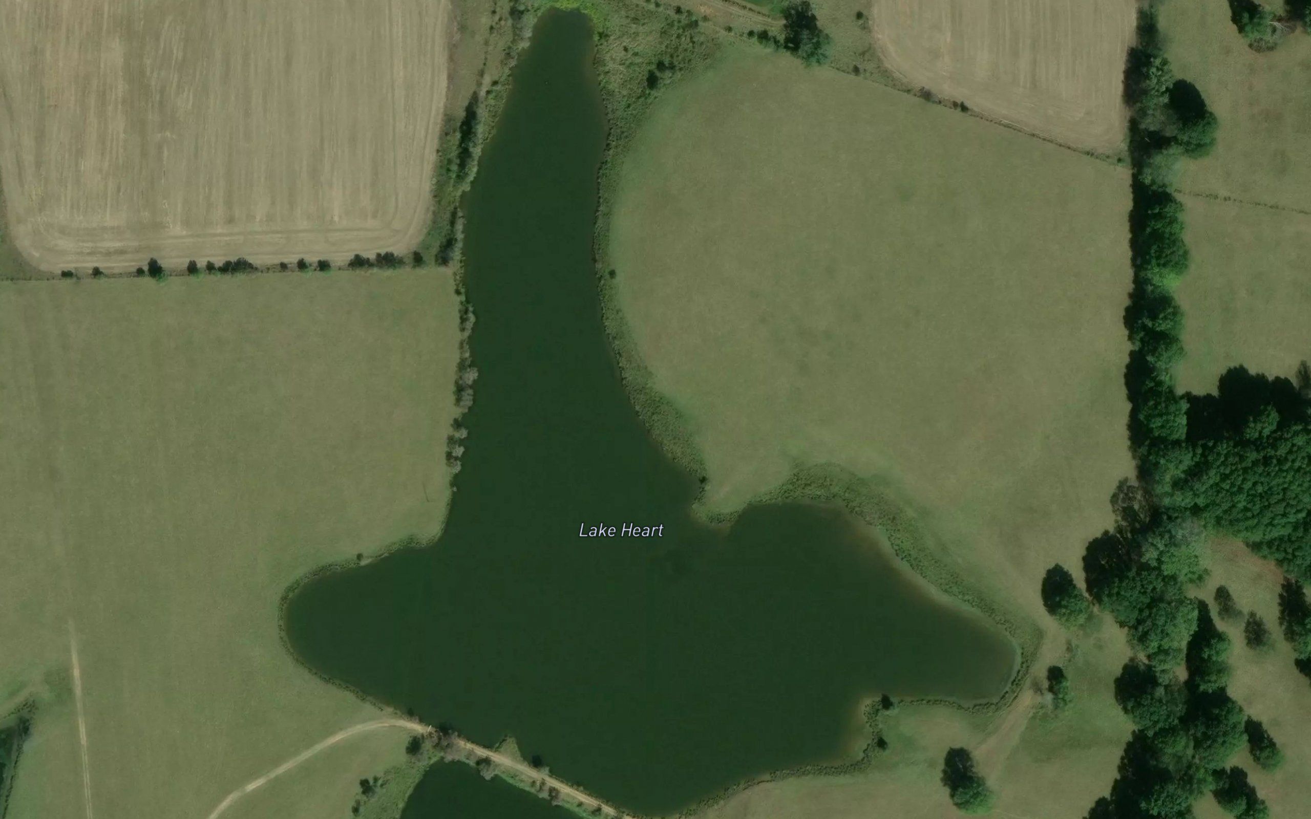 Lake Heart